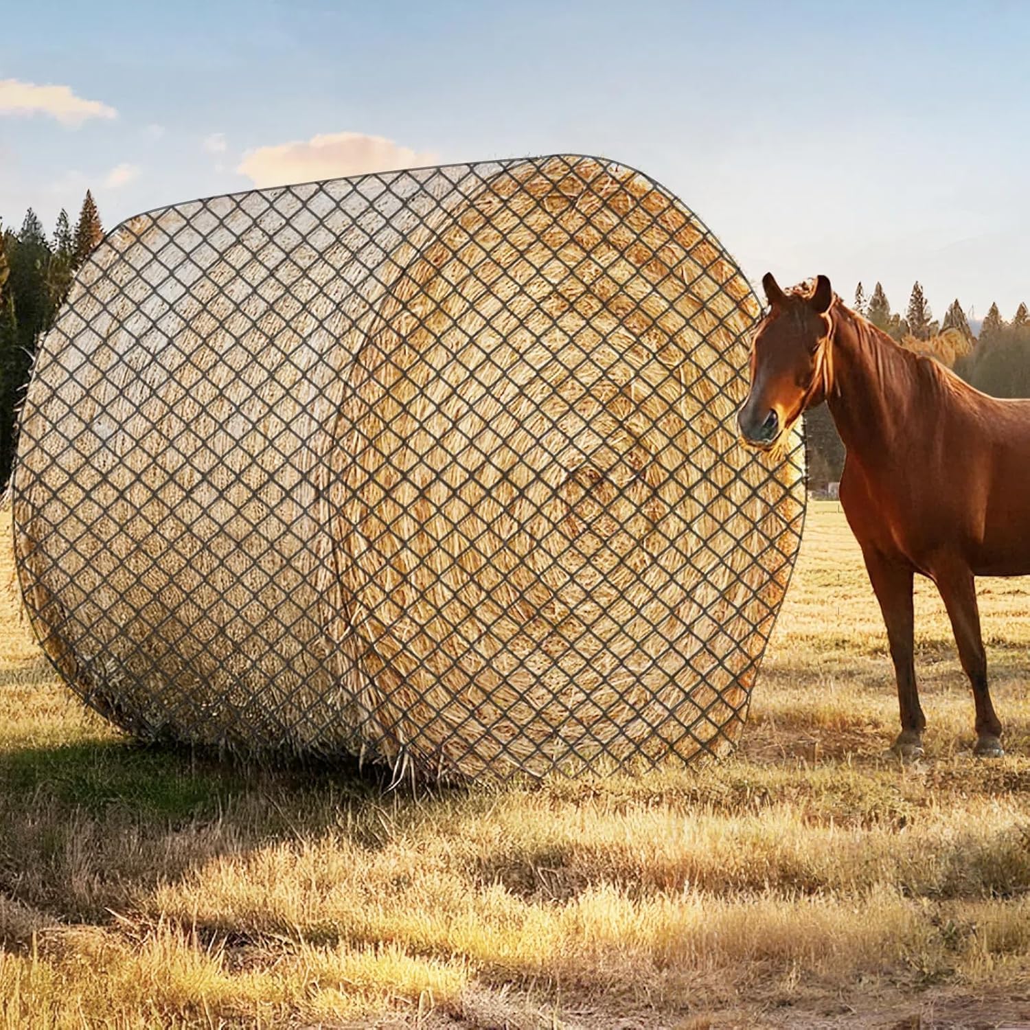 6×6ft Large Round Bale Hay Nets for Horses, 6×6 ft Hay Net for Horses Slow Feed Knotless, Slow Feeder Hay nets for Horses, Fits Round Bales 4x4ft, 5x5ft, 6×6ft, Square Bales 3x3x8ft and 4x4x8ft