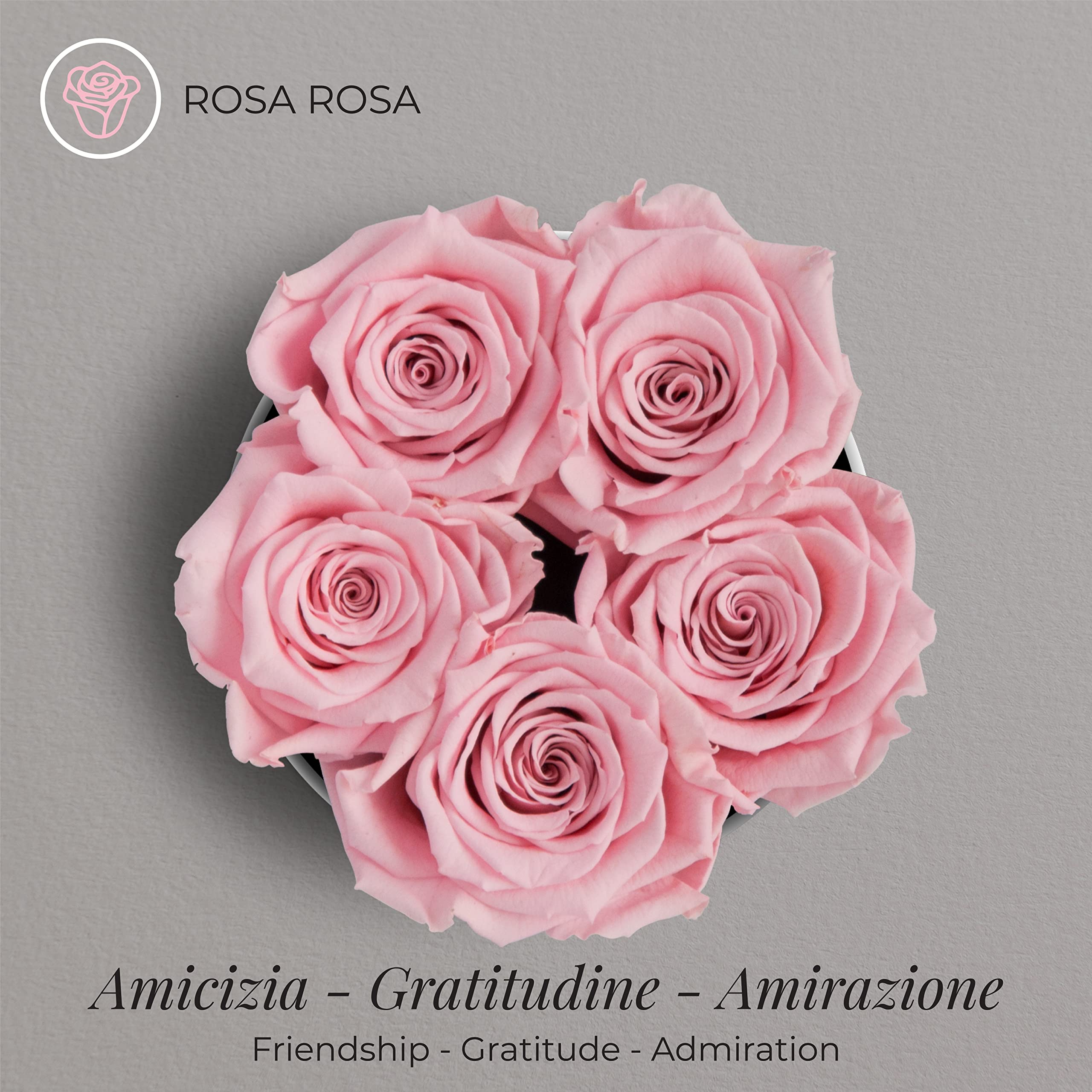 Amoroses Petite - Confezione Regalo 5 Rose Stabilizzate Eterne - Elegante Bouquet di Fiori Veri | Festa della mamma (Petite Scatola Bianca con Rose Rosa)