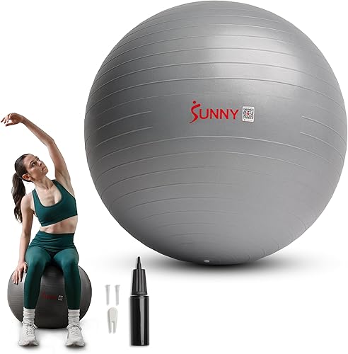 Miniatura 11 de Sunny Health & Fitness Pelota de ejercicio antiestallidos de alta calidad para fuerza central, yoga, pilates, barra, terapia física, equilibrio,
