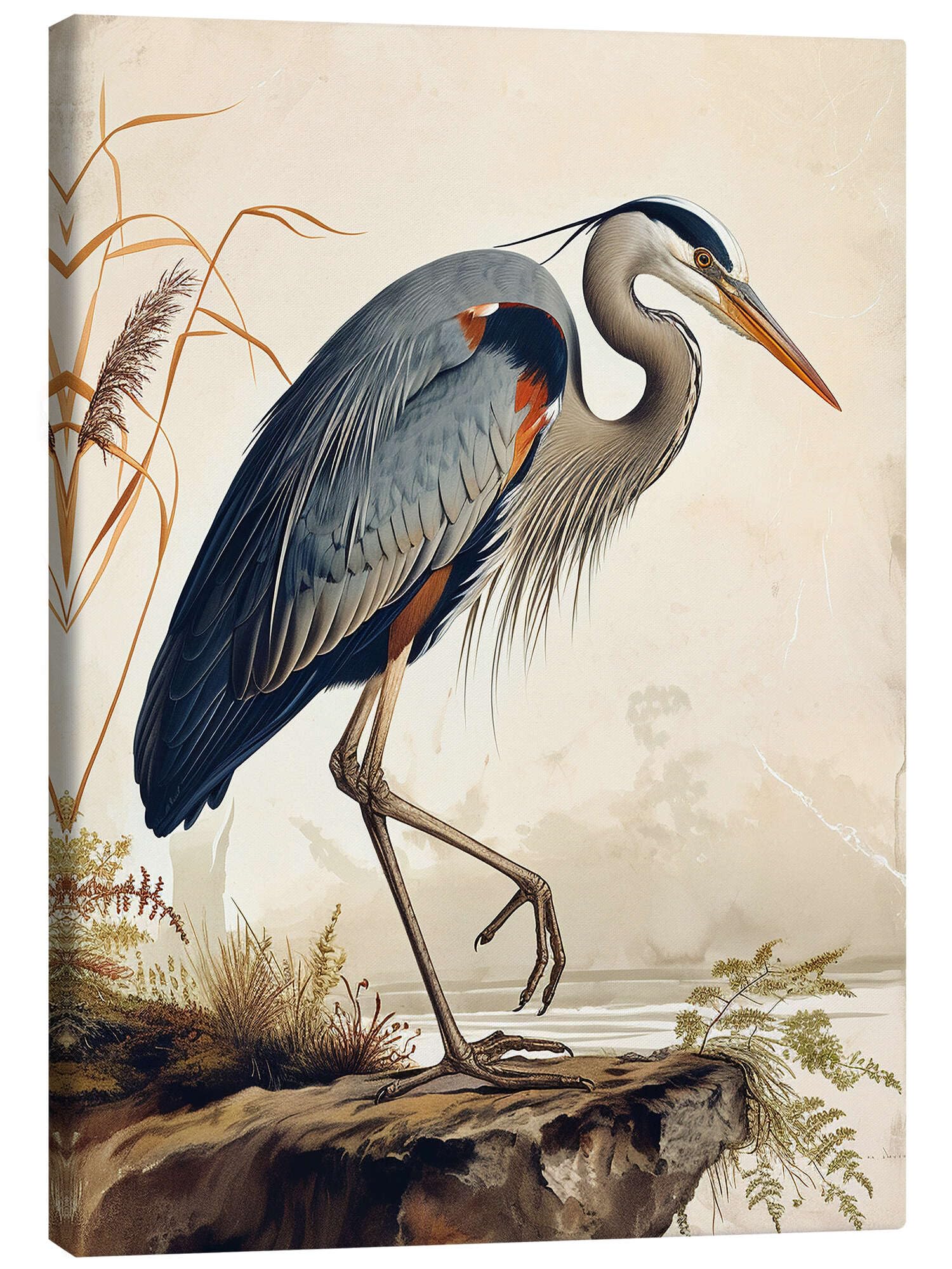 Great Blue Heron after Audubon Obraz na płótnie