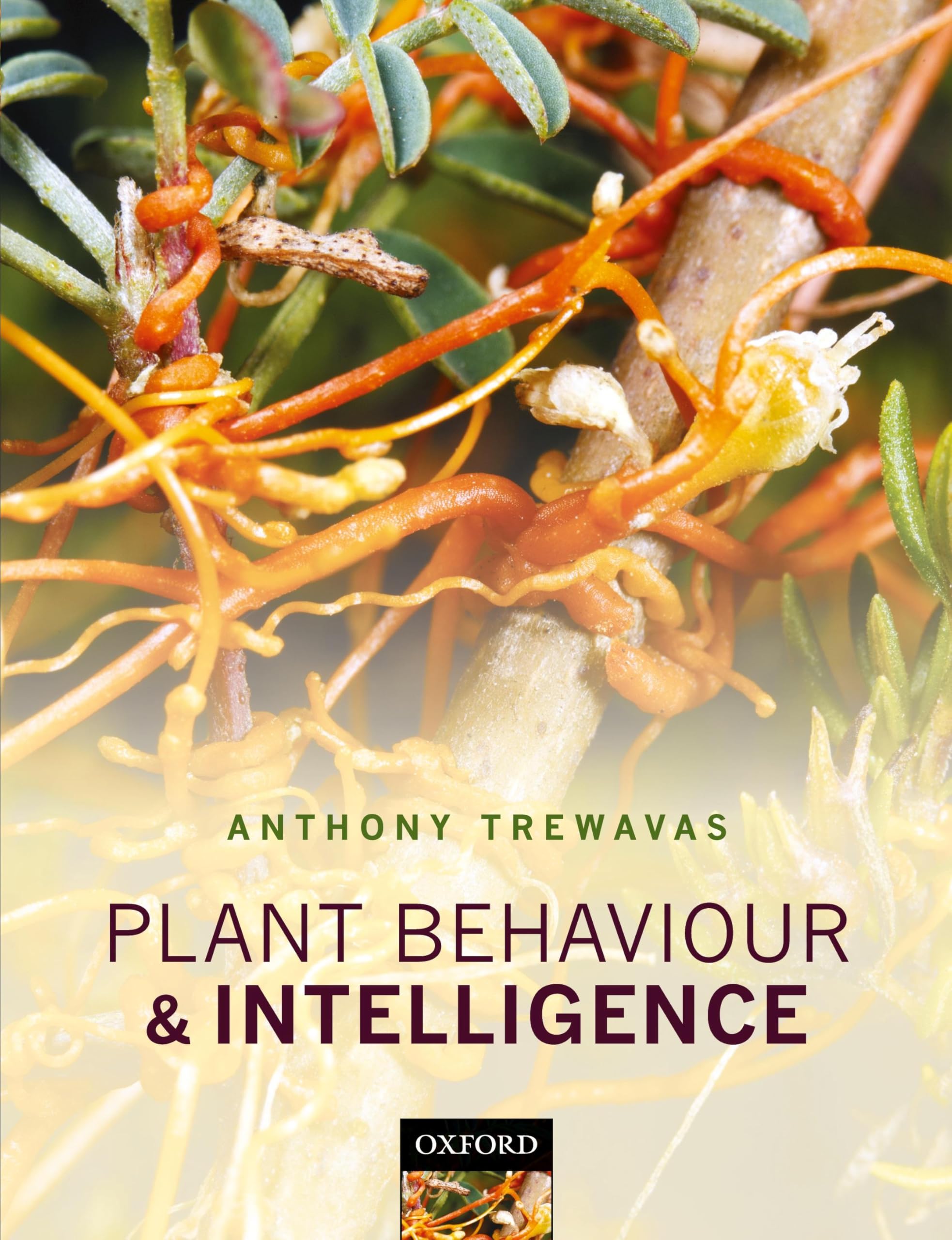Plant Behaviour and Intelligence