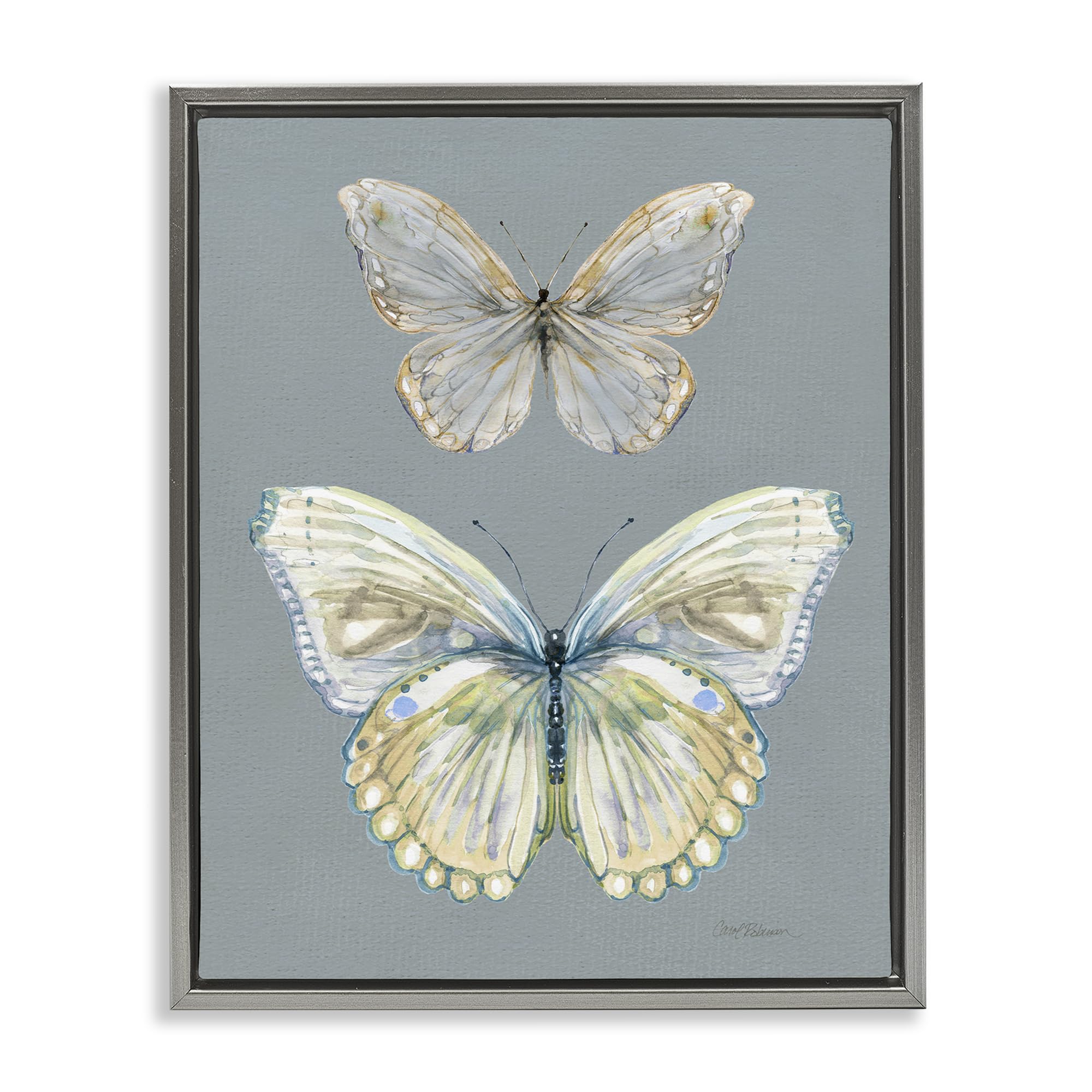 'Butterfly Pair Study'| Floating Frame Canvas Art