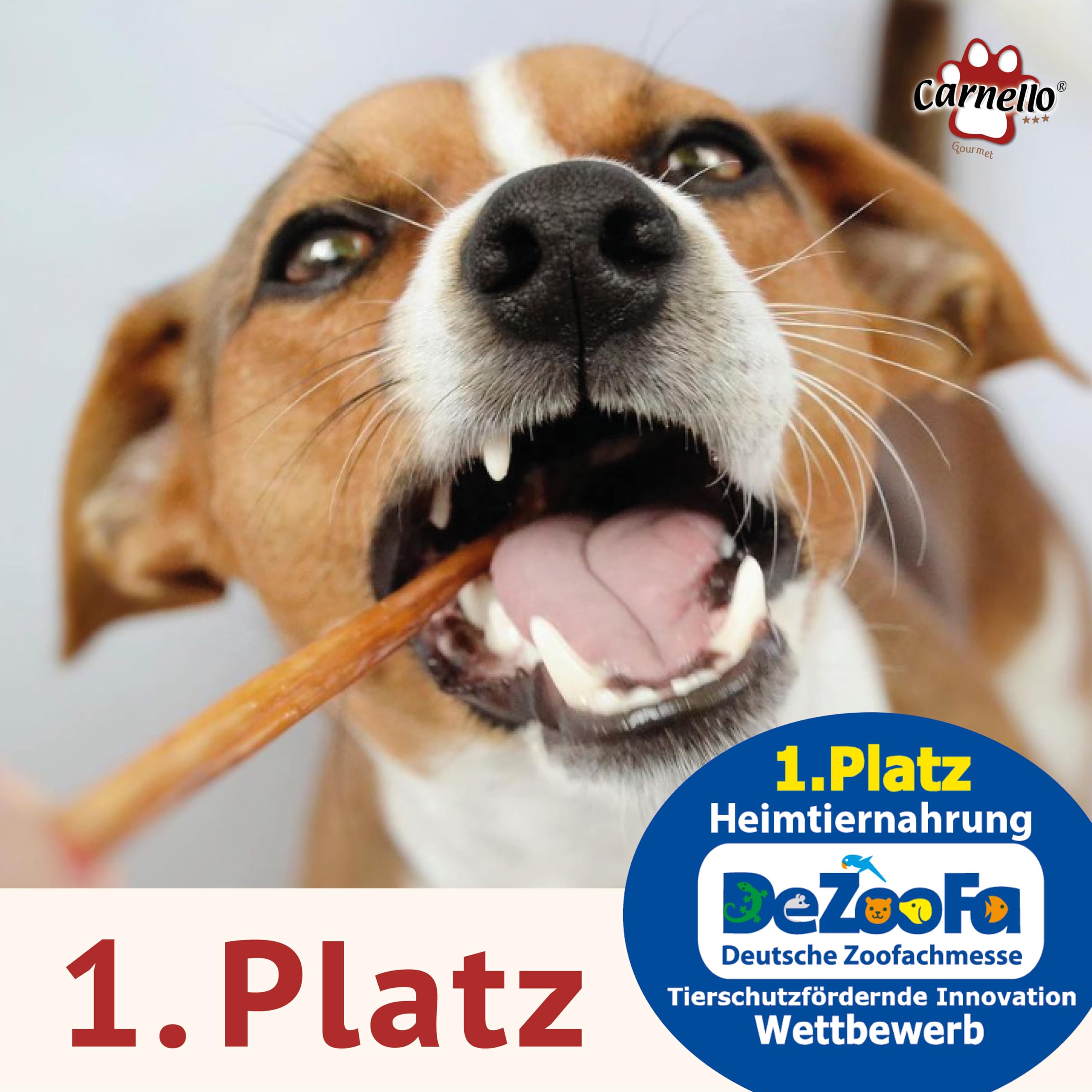 Carnello Hundespaghetti – Hundeleckerli, Leckerlis für Hunde, Hundesnacks getreidefrei – Wiederverschließbarer Beutel (8 x 60g)