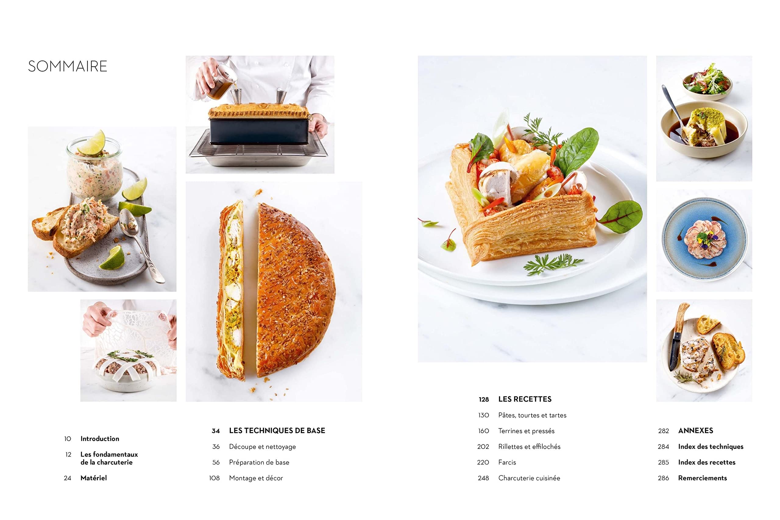 Terrines, pâtés en croûte, rillettes, charcuteries...: Recettes et techniques d'une école d'excellence