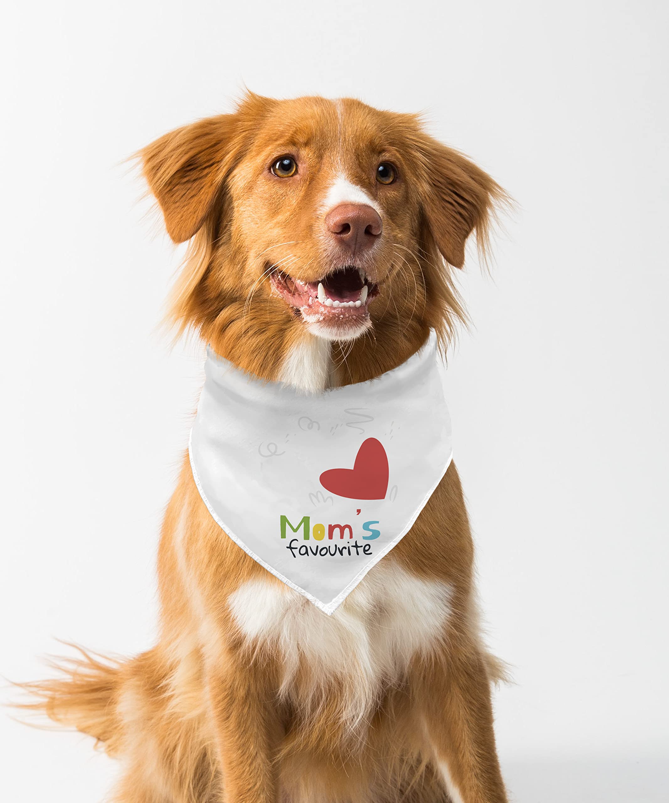 Farnup Adjustable & Comfortable Dog Bandana,Mom_s Favourite, Graphic Printed Bandana for Dogs | Dog Scarf, Accessory | Gifts for Dogs-M/L (B0BVHHM1N9) Amazon Price History, Amazon Price Tracker