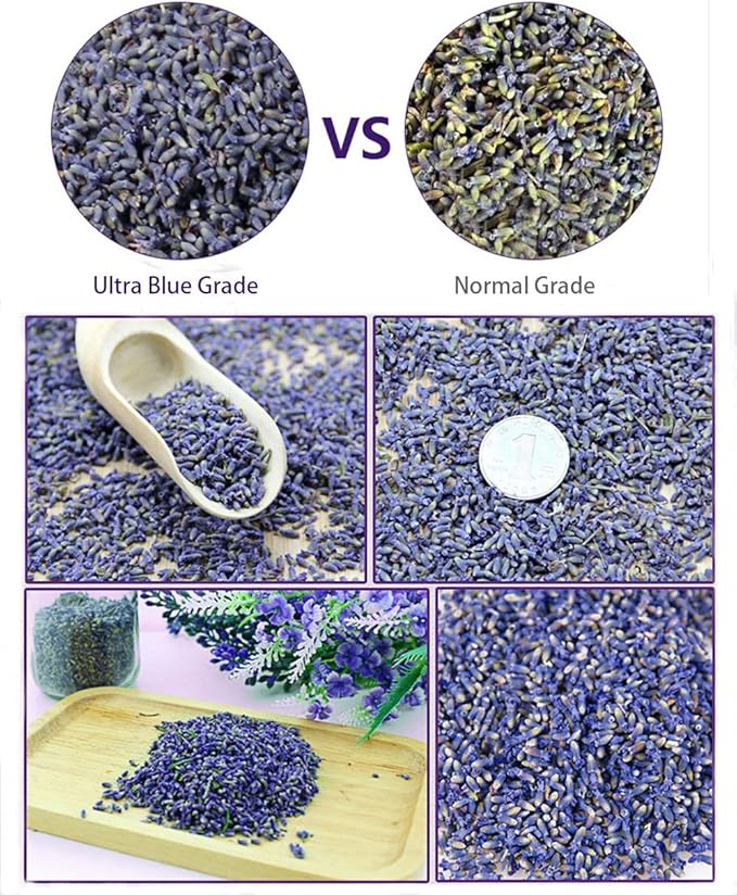 TooGet Capullos de Lavanda Ultra Blue Secos - 225g miniatura 4