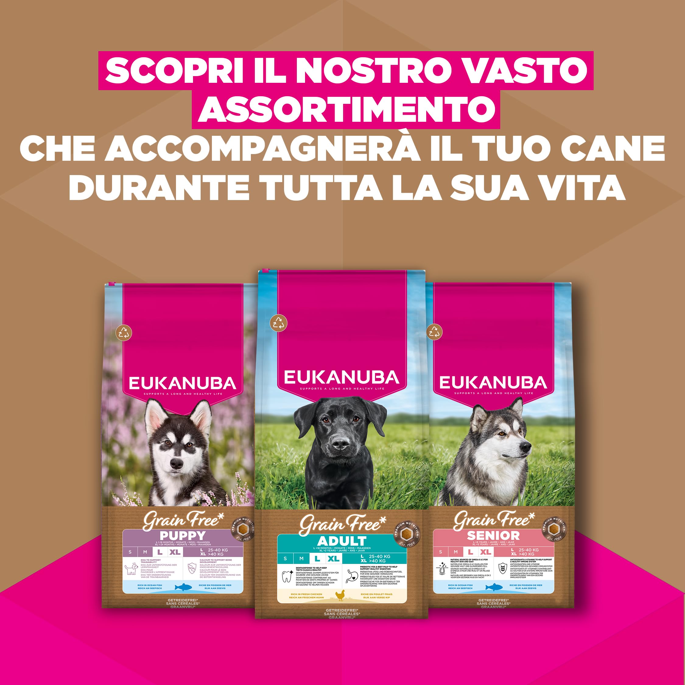 EUKANUBA Cibo secco per Cani senza cereali con pollo fresco per razze di taglia grande - Alimento secco premium privo di cereali per Cani adulti, 12 kg