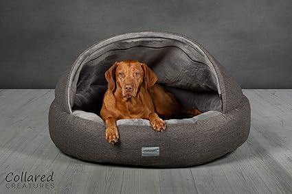 Collared creatures bed Clearance