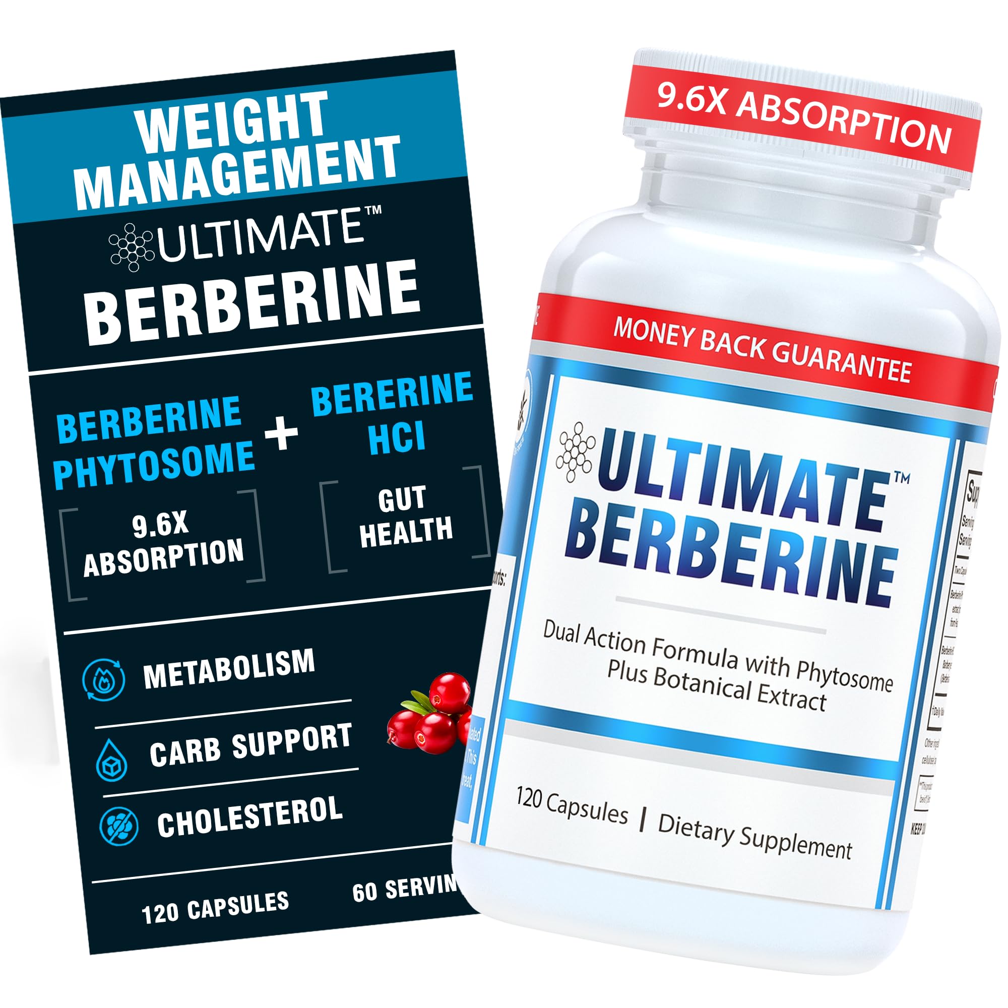 Berberine Phytosome for Optimal Metabolic Health After 35 - 9.6X Absorption Dual Action Formula for Appetite & Gut Health - Immunity & Cholesterol Support - Clinical Dose & Third Party Tested