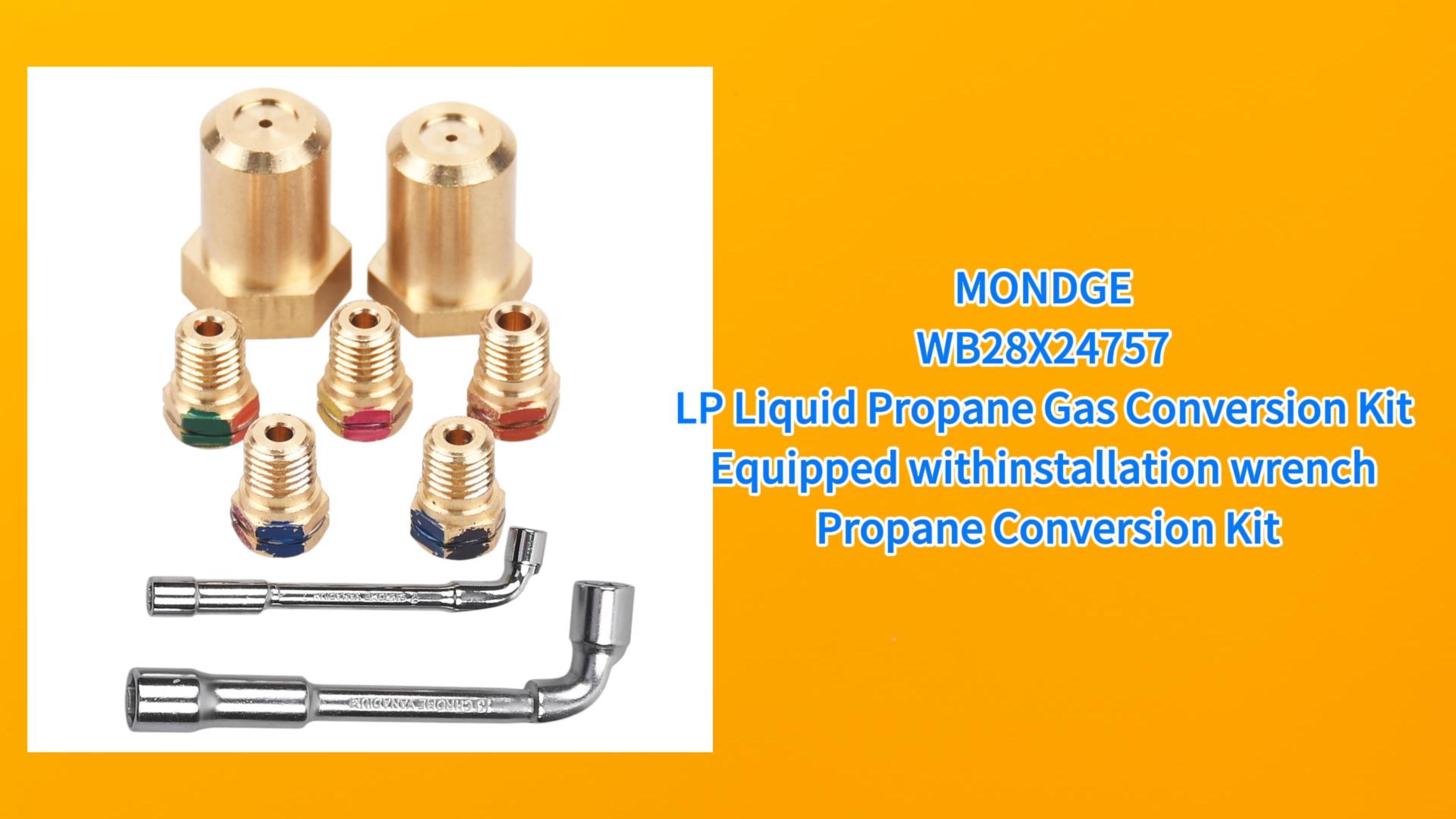 Amazon.com: WB28X24757 LP Liquid Propane Gas Conversion Kit
