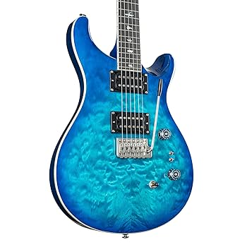 Amazon.com: PRS SE Custom 24-08 Quilt, Lake Blue : Musical