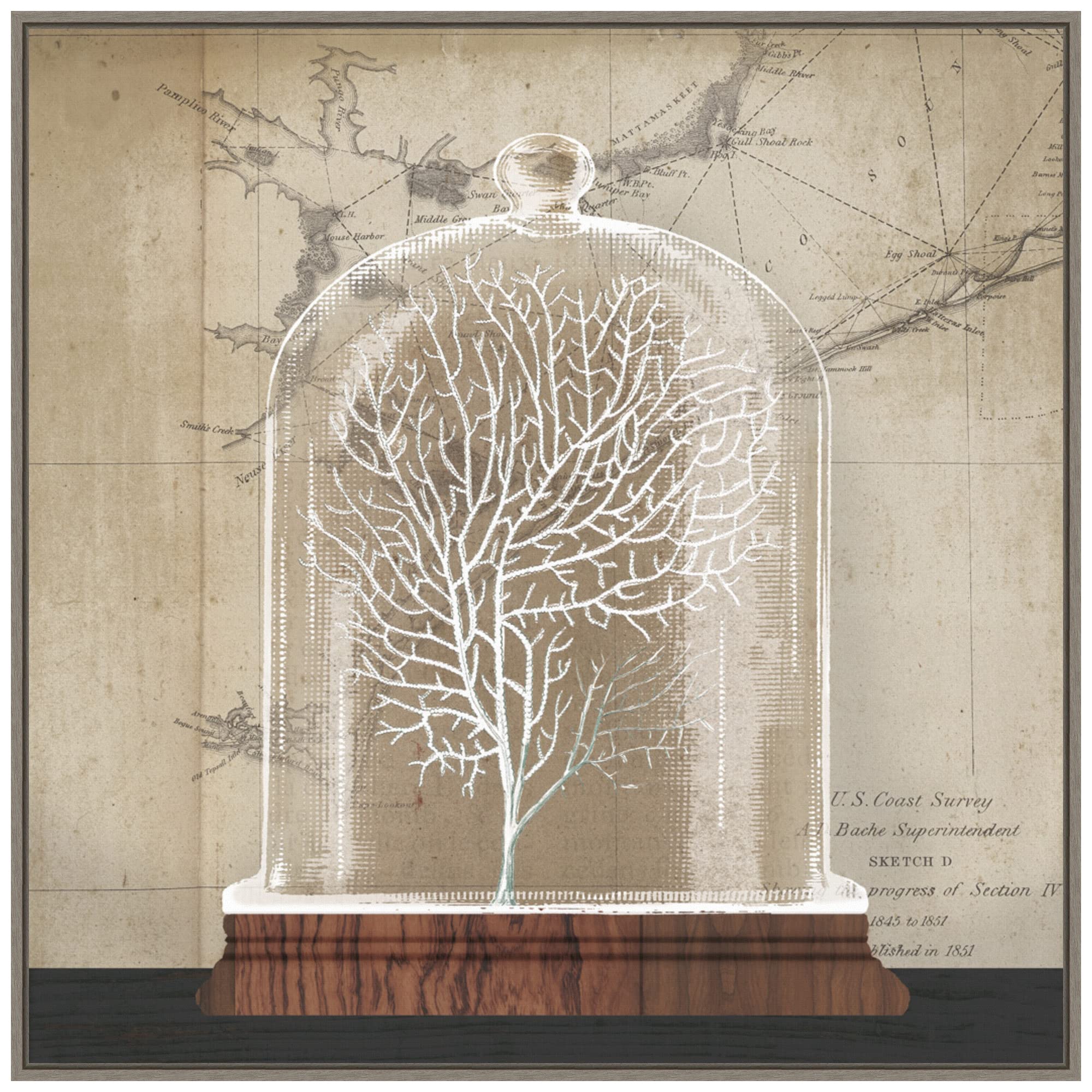 Amanti Art Framed Canvas Wall Art 30x30 Coral Cloche I by Wild Apple Portfolio, Framed Wall Art Canvas, Beach Artwork, Country Rustic Decor, Large Poster Painting for Living Room, Bedroom, Bathroom,