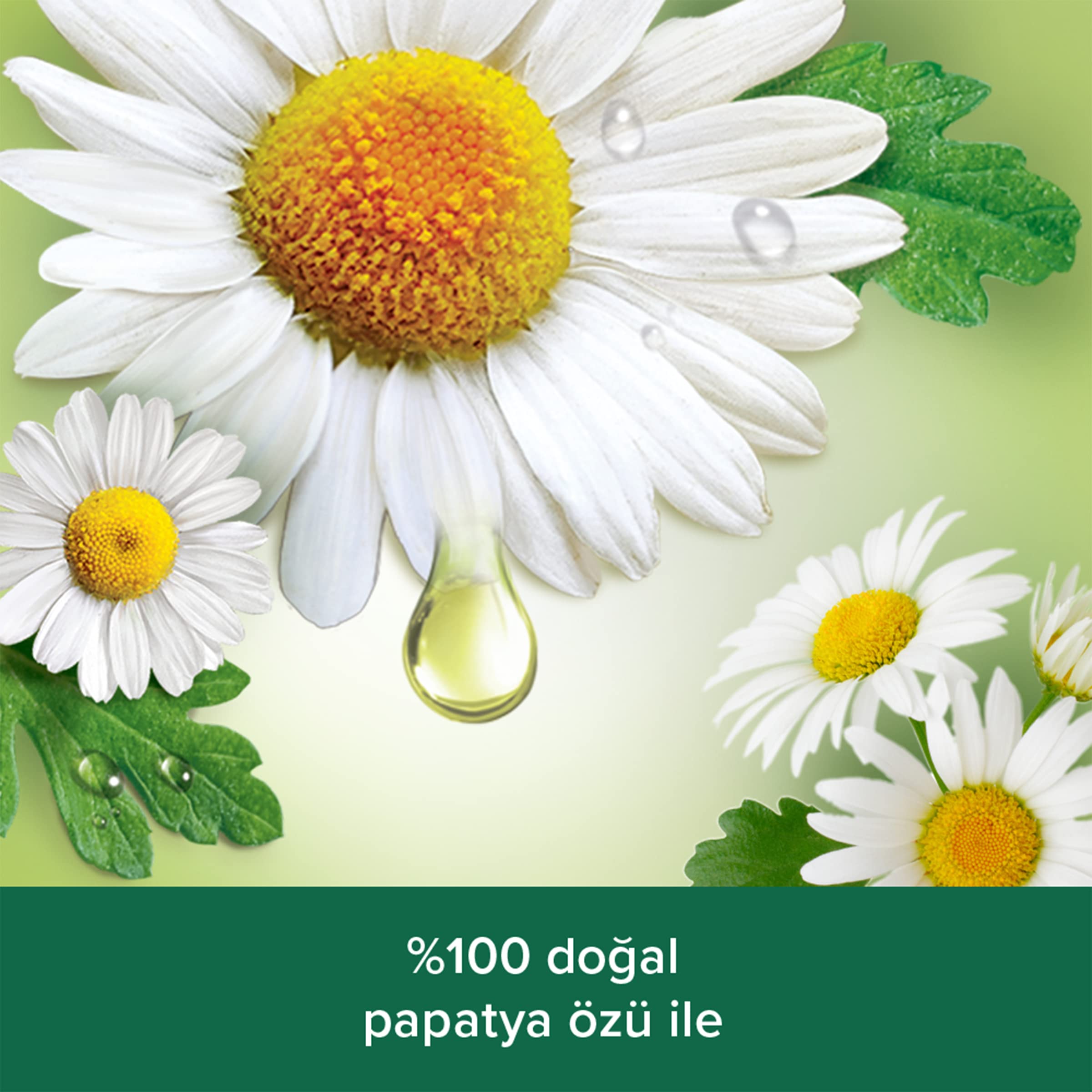 Palmolive Body & Mind Papatya Özü ve Doğal Yağ ile Rahatlatıcı Banyo ve Duş Jeli (500 ml)