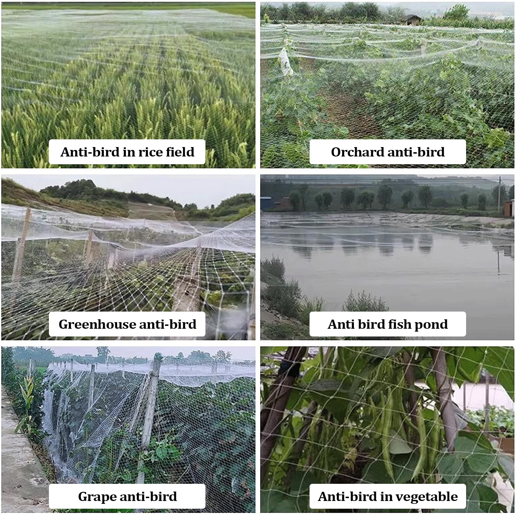 Malla Antipajaros, Red para Pájaros y Palomas de Jardín, Red de Protección contra Pájaros Multiusos, Redes de Protección para Arboles Frutales Plantas Verduras(Size:7m x 30m)