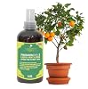 Proffesional Citrus Tree Spray Fertilizer Mist for Home Gardening | 3-1-2 Gentle Blend Mist for Healthy Leaves & Growth | Essential Nutrients for Citrus Tree - 8oz