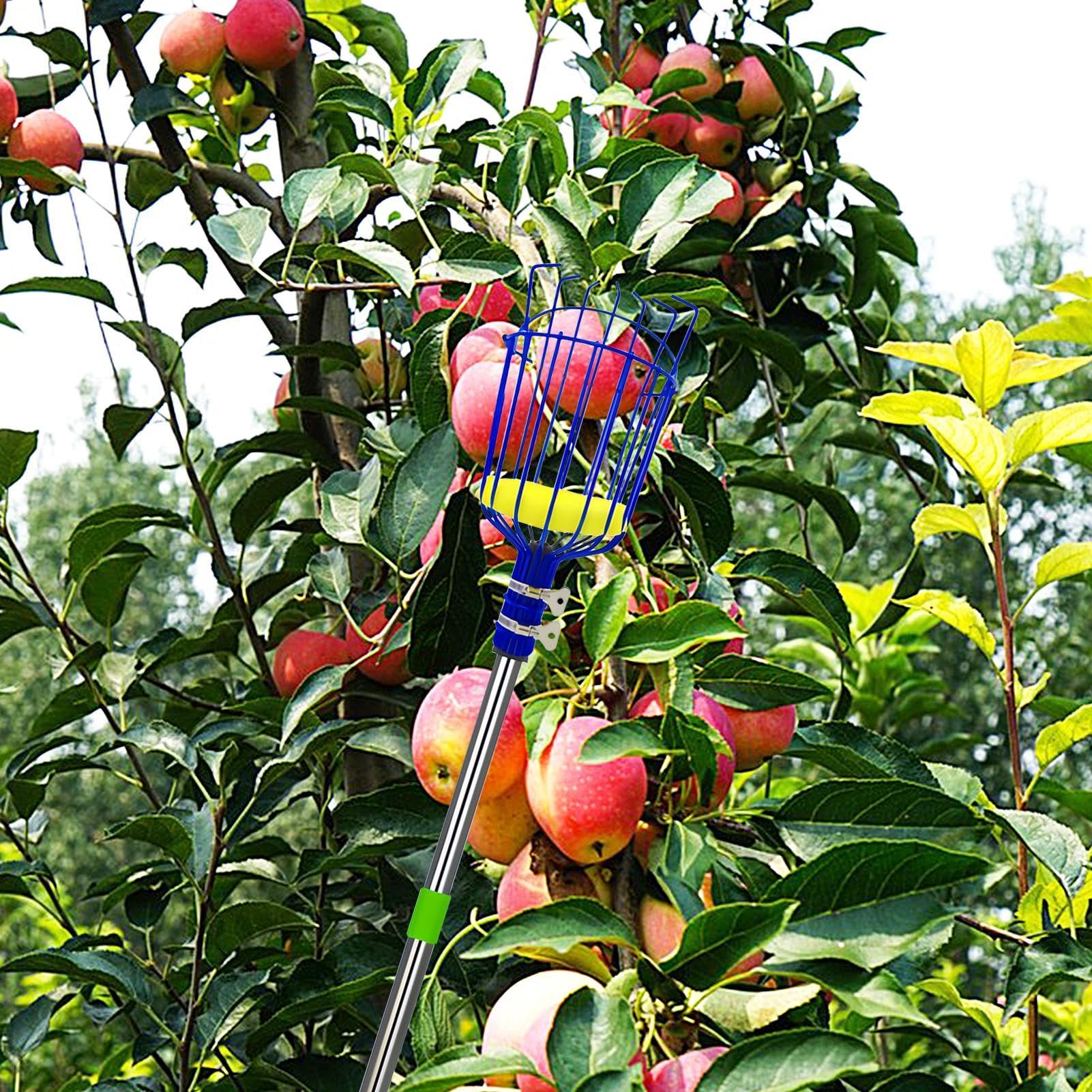 Cueille-fruits – Bâton de cueillette de fruits avec panier, cueille