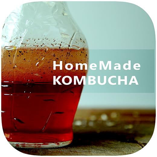 Easy Kombucha Tea - Best Guide To Start Kombucha Health Brewing For Beginners