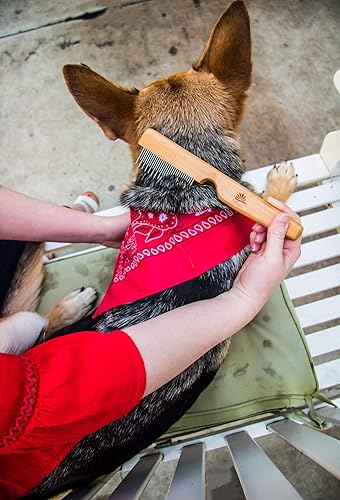 Miniatura 3 de Peine desenredante para mascotas para cabello enmarañado y desenredante, con dientes largos y cortos de acero inoxidable para perros y gatos,