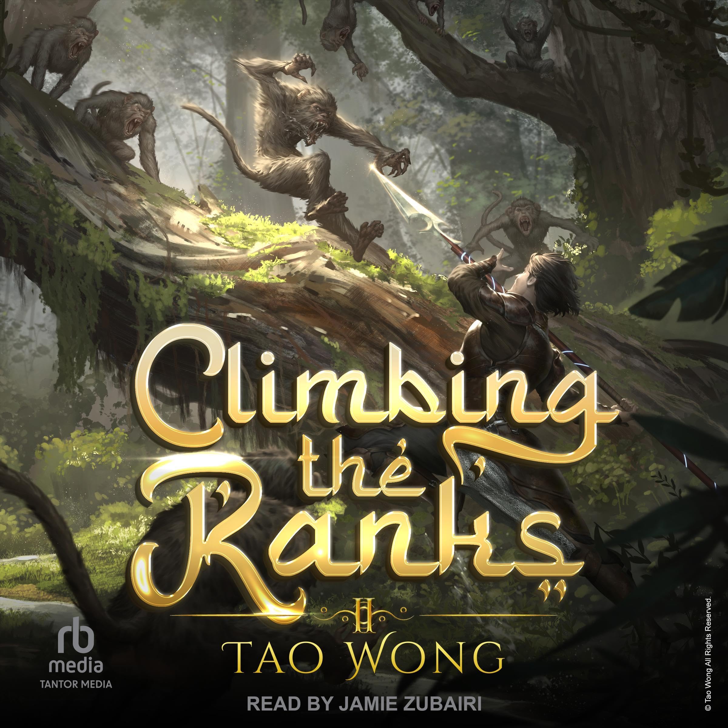 Cover art for Climbing the Ranks 2