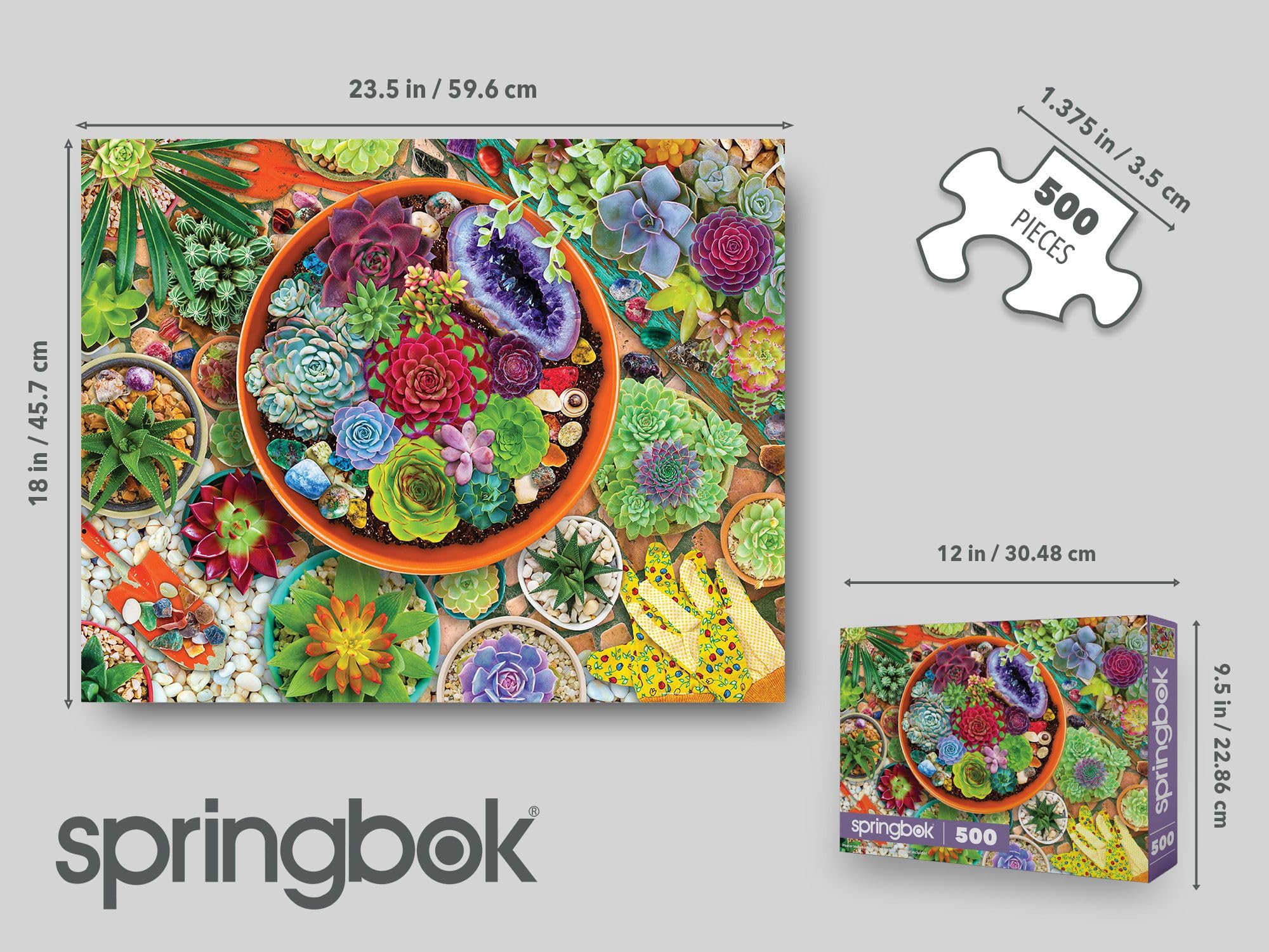 Amazon.com: Springbok 500 Piece Jigsaw Puzzle Succulent Garden