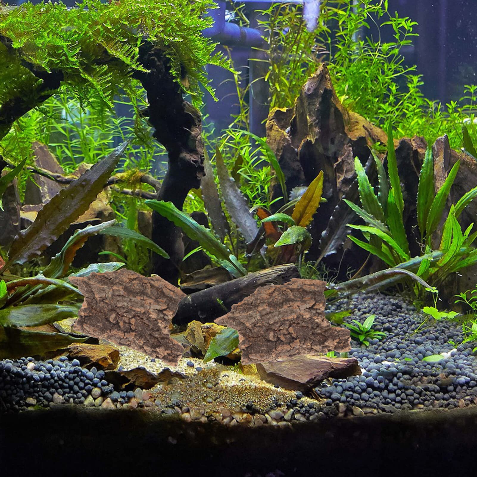 Zerodeko Lot de 10 Plateformes en Écorce De Bois pour Reptiles Lézards Et Tortues Décor Naturel De Terrarium pour Grimpe Et Repos