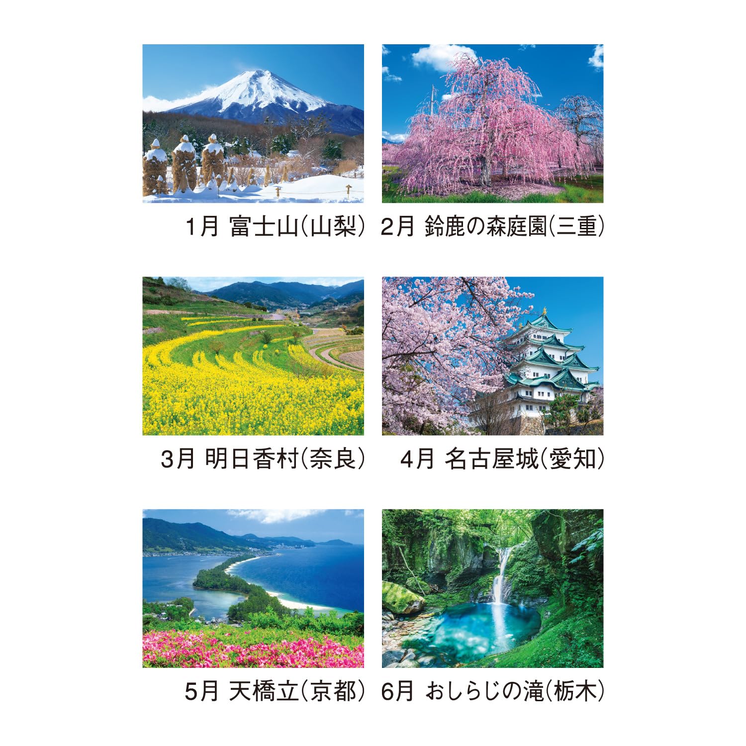 超レア！山◯組カレンダー本物 2025年 壁掛けカレンダー 超レア！山◯組カレンダー本物 2025年 壁掛けカレンダー 壁かけ