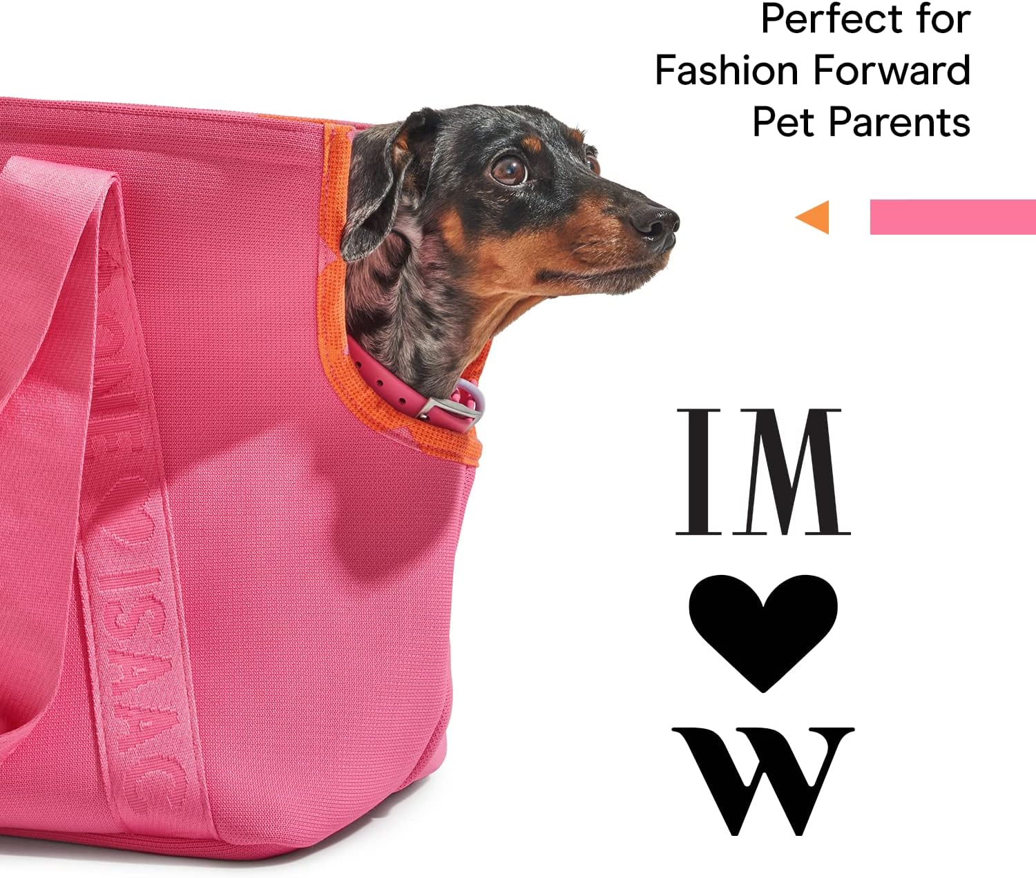 Wild One, Limited Edition, Designer Collection, Pink Dog Collar, Easy-Clean, All Weather Flex-Poly Strap with Metal, Durable, Dirt and Odor Resistant, Large