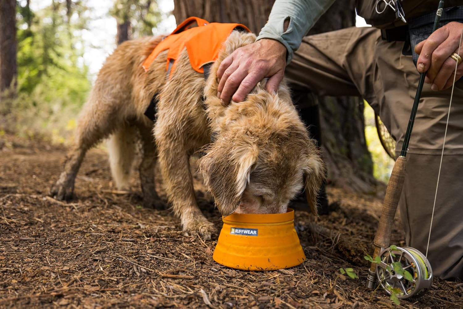 Ruffwear Bivy Bowl Review: The Ultimate Collapsible Dog Bowl for Adventurous Pups!