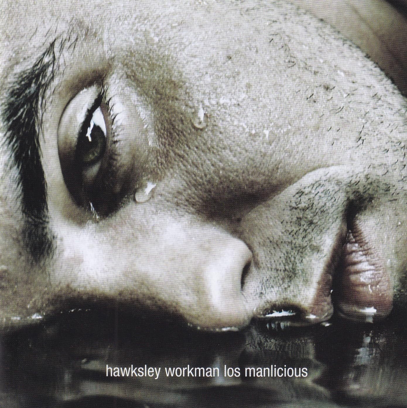 Los Manlicious [Audio CD] Hawksley Workman