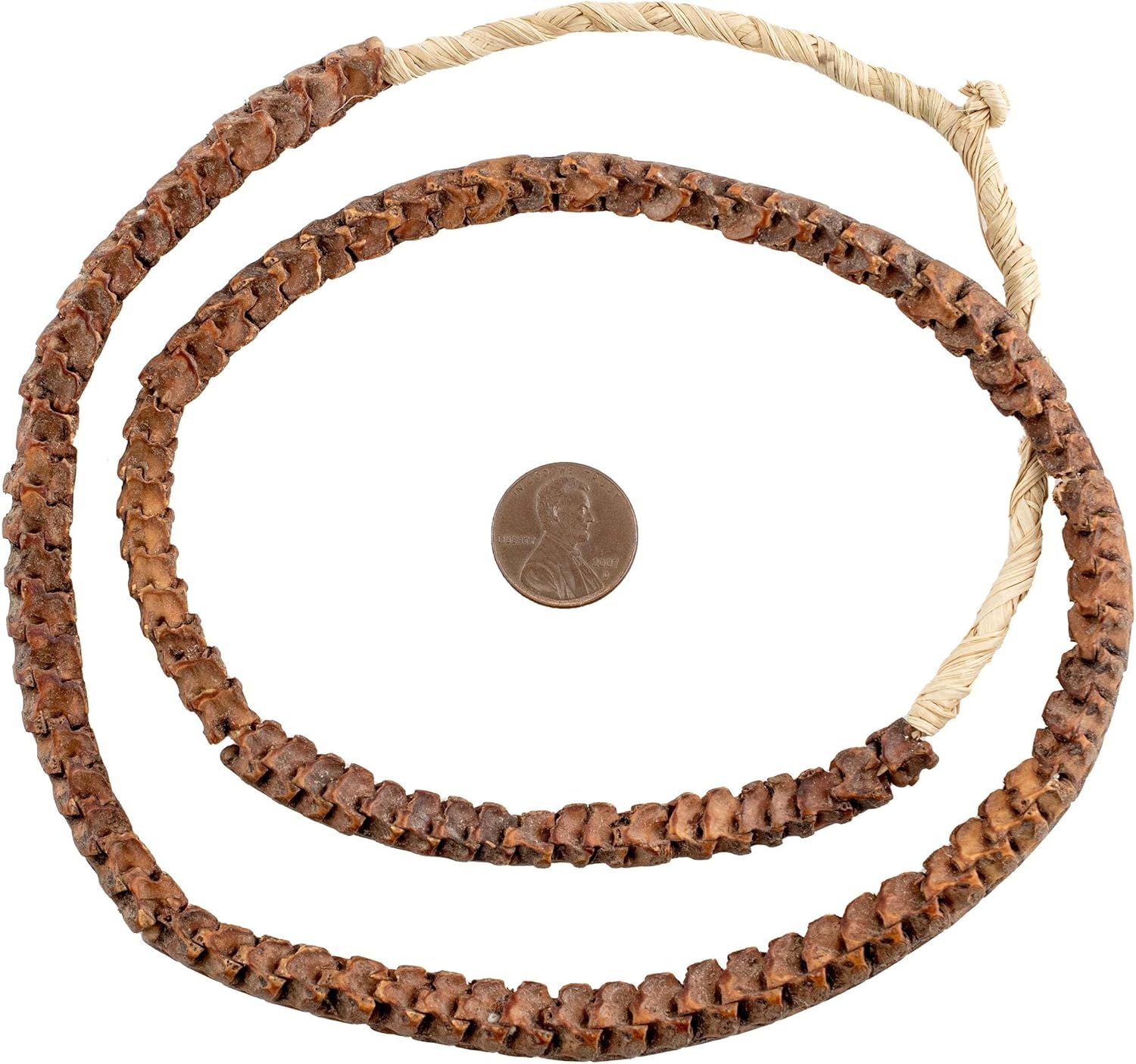 The Bead Chest Real Snake Vertebrae Beads from Africa 7mm Nigeria African Brown Interlocking Bone Large Hole 31-33 Inch Strand Handmade