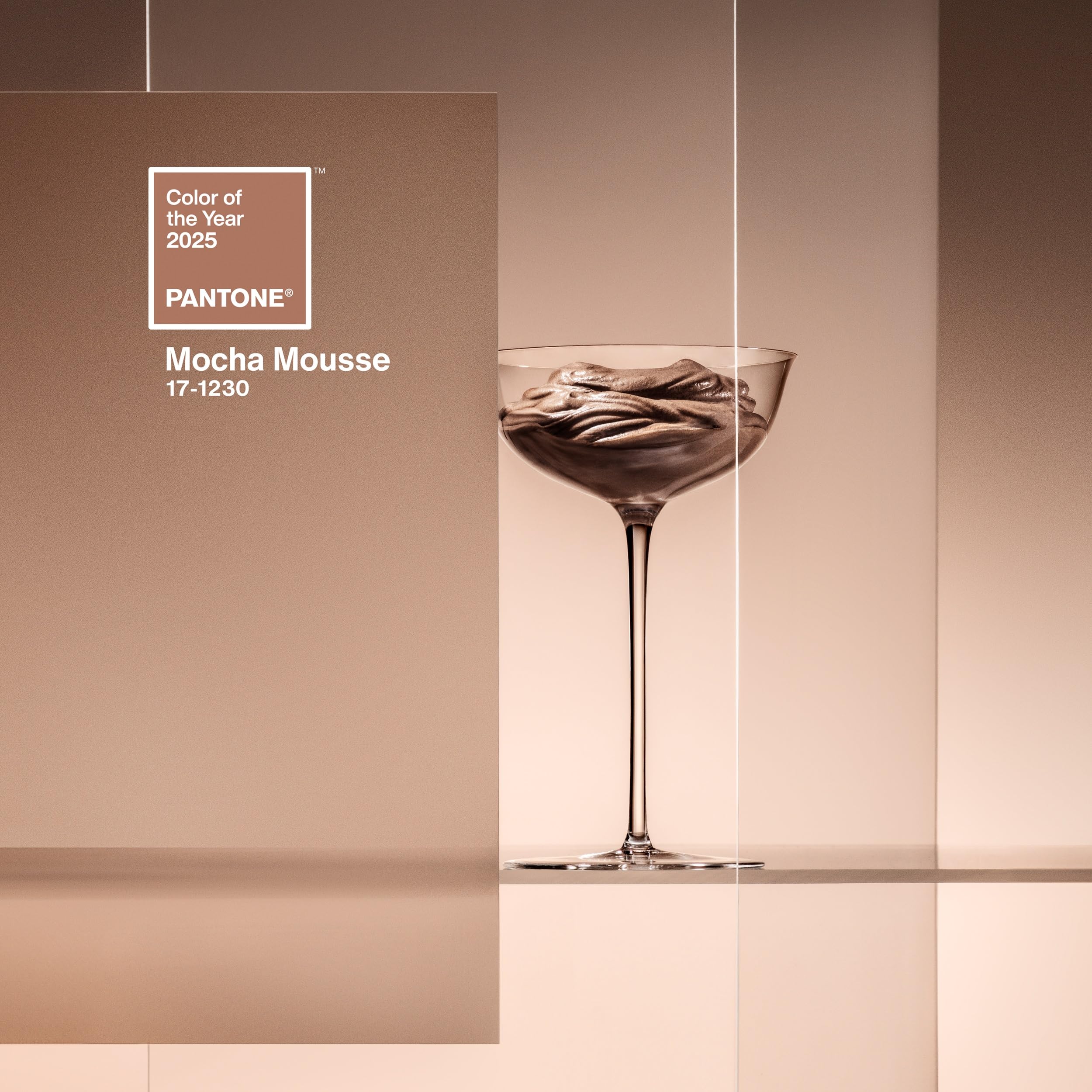 Pantone Tasse à café en porcelaine 375 ml avec boîte cadeau Couleur de l'année 2025 : mousse Mocha 17-1230