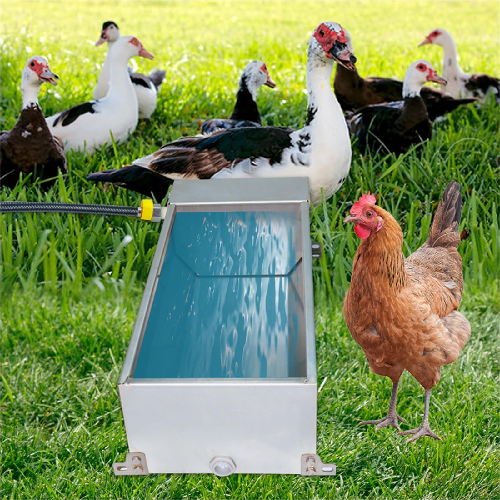 Bebedero automático para ganado con válvula flotante, cuenco de agua autollenable para caballos, cabras, cerdos, vacas y ciervos
