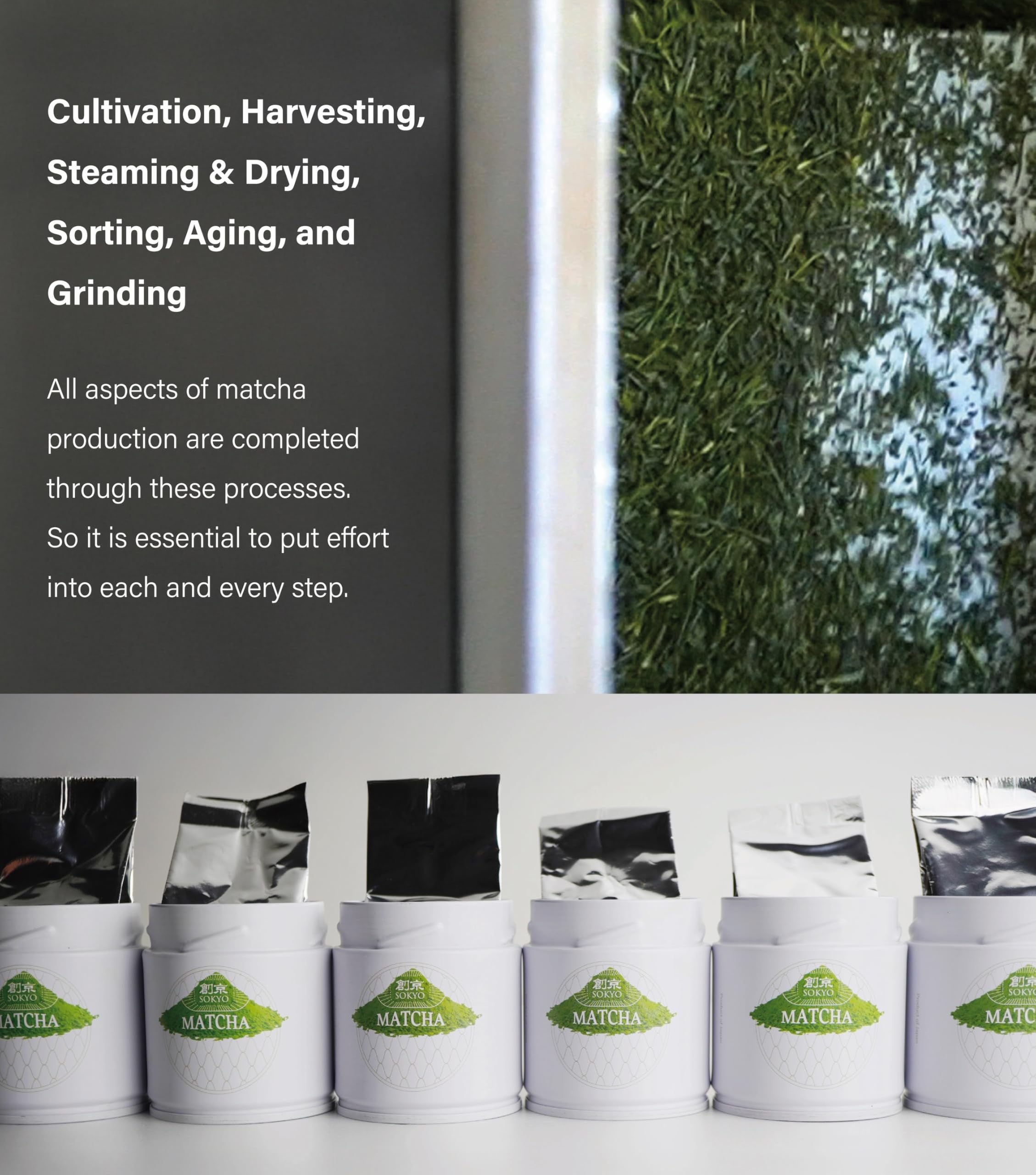 SOKYO ceremonial matcha powder series powdered green tea Japanese matcha 3 52oz 100g Mie Ceremonial K — view 7