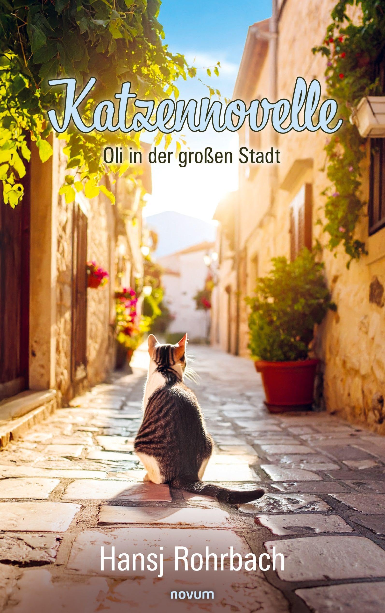Katzennovelle: Oli in der großen Stadt