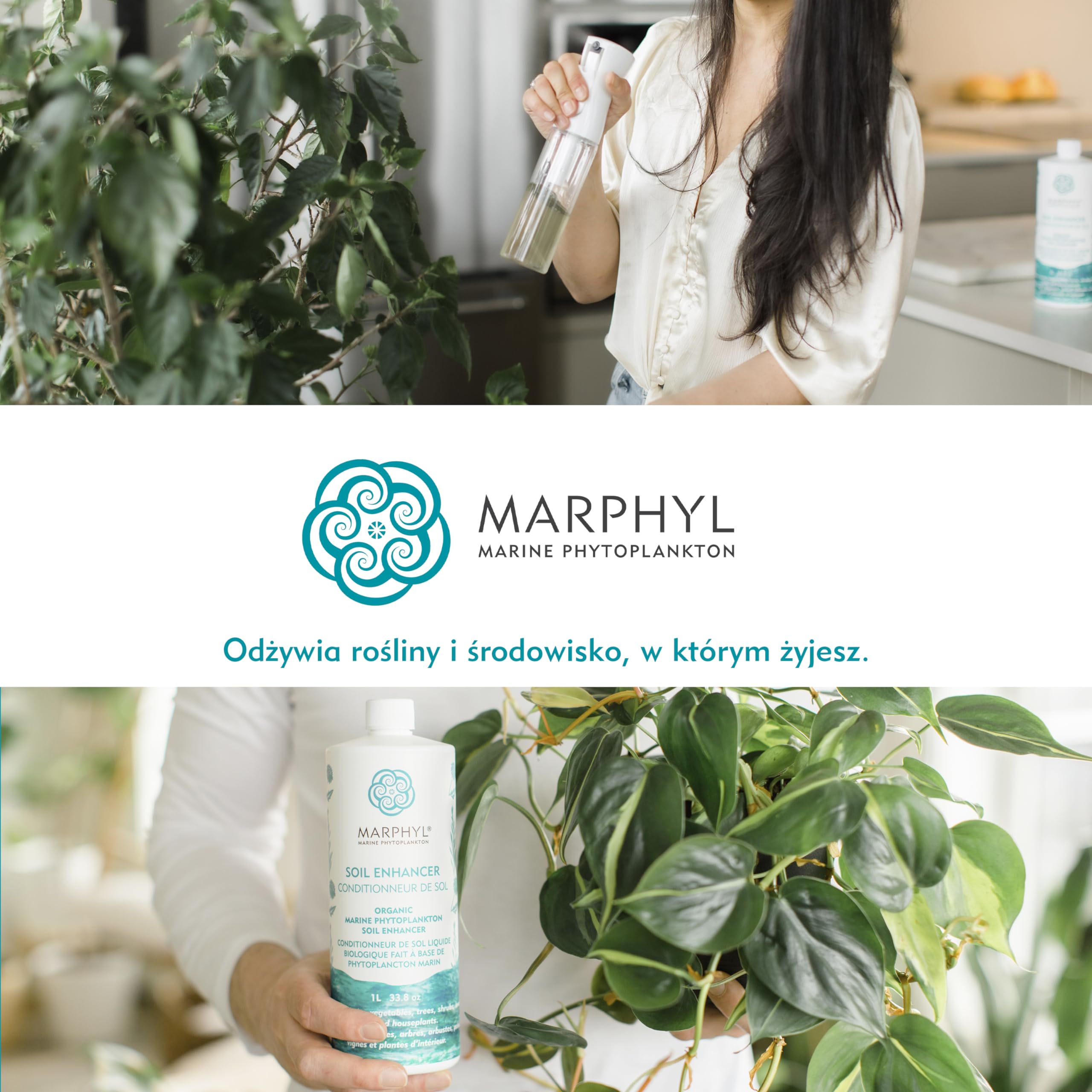 MARPHYL