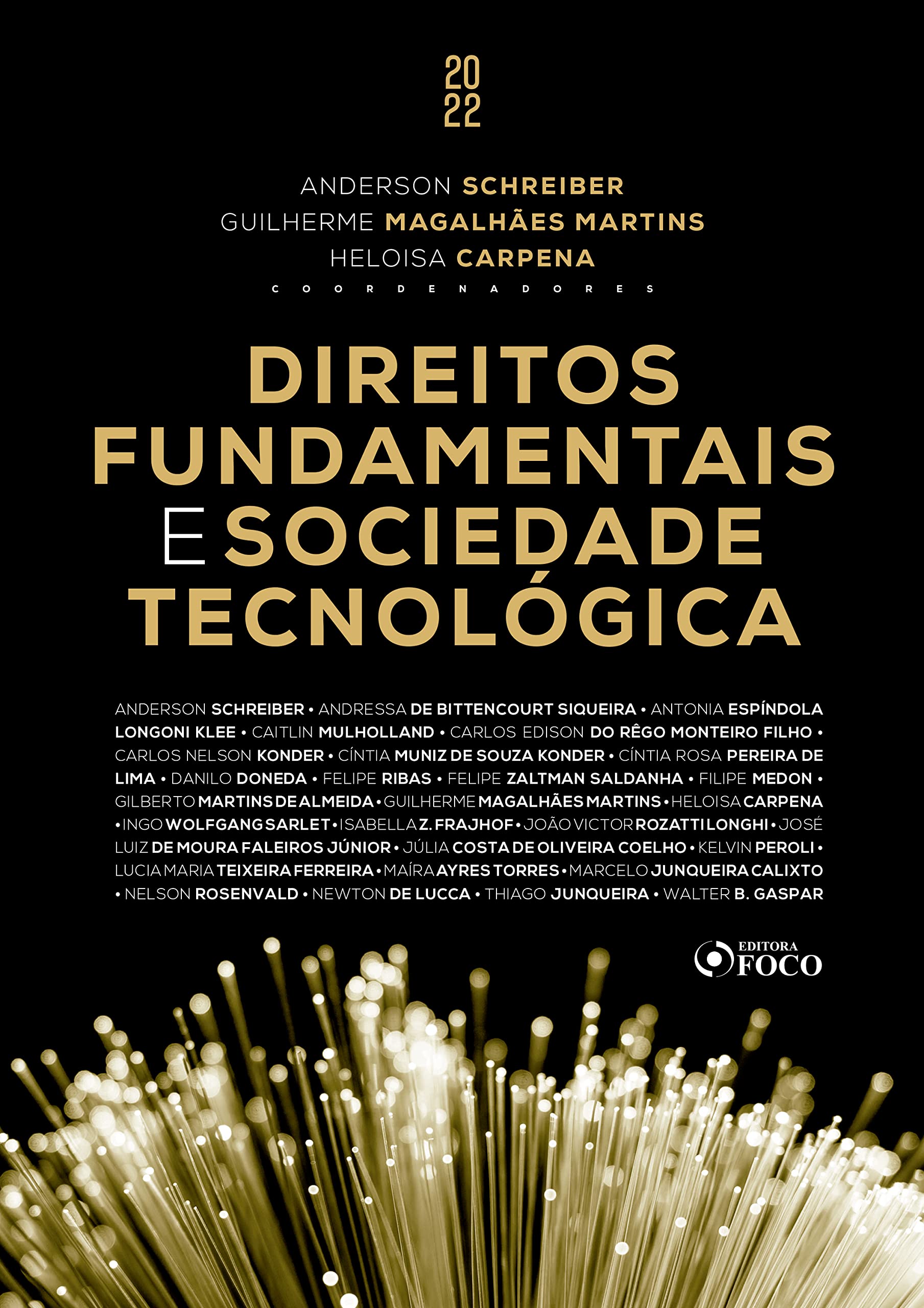 Capa de Direitos fundamentais e sociedade tecnológica