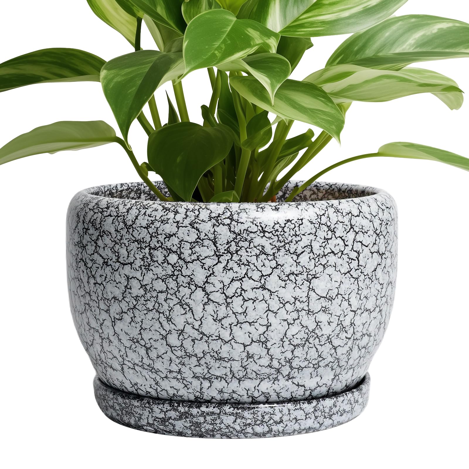 SQOWL 8 inch Ceramic Planter