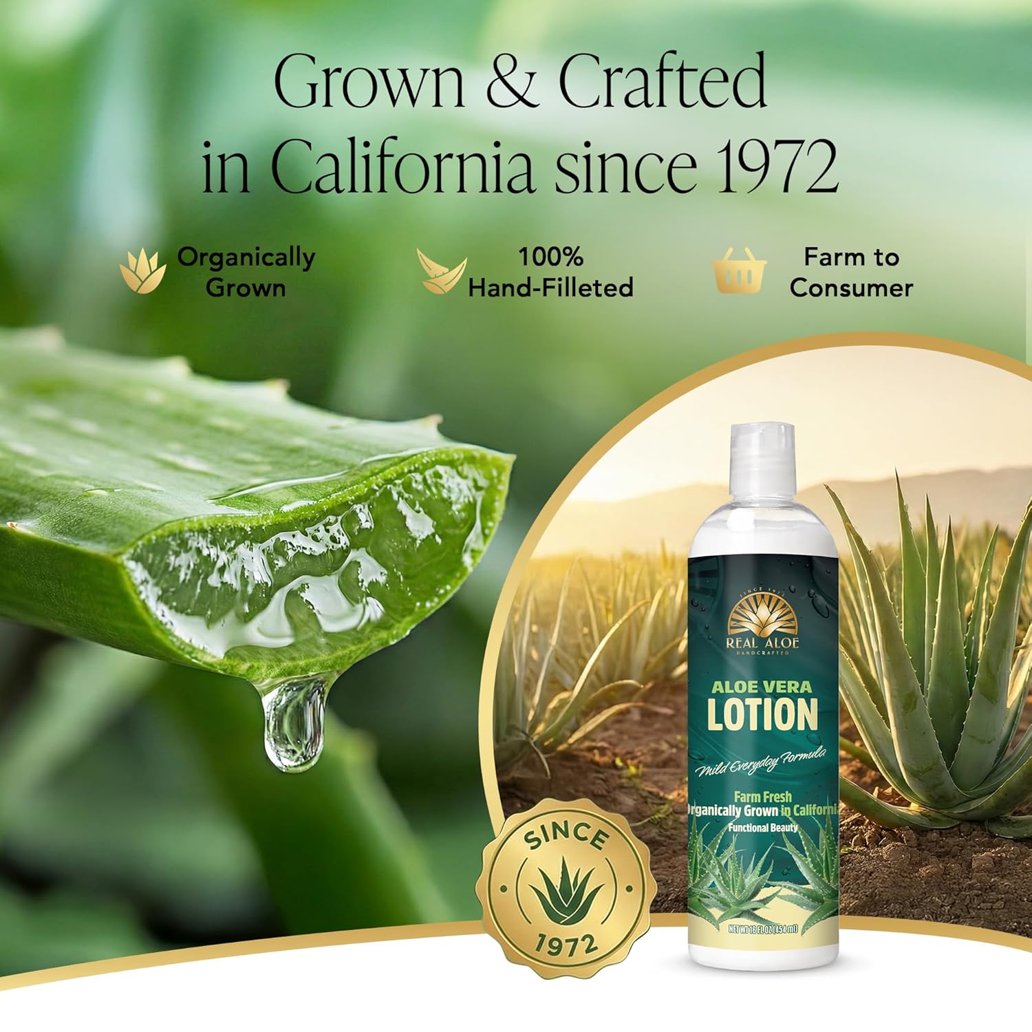 Real Aloe Aloe Vera Lotion (16 fl oz) | Organic Aloe for Face, Body & Hands | Lightweight, Fast-Absorbing Moisturizer | Non-Greasy Hydration for Dry & Sensitive Skin | Made in USA