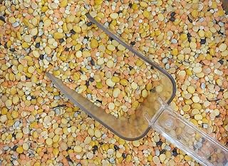 Mix Dal Loose | daal dal pulses Splits Indian Cuisines