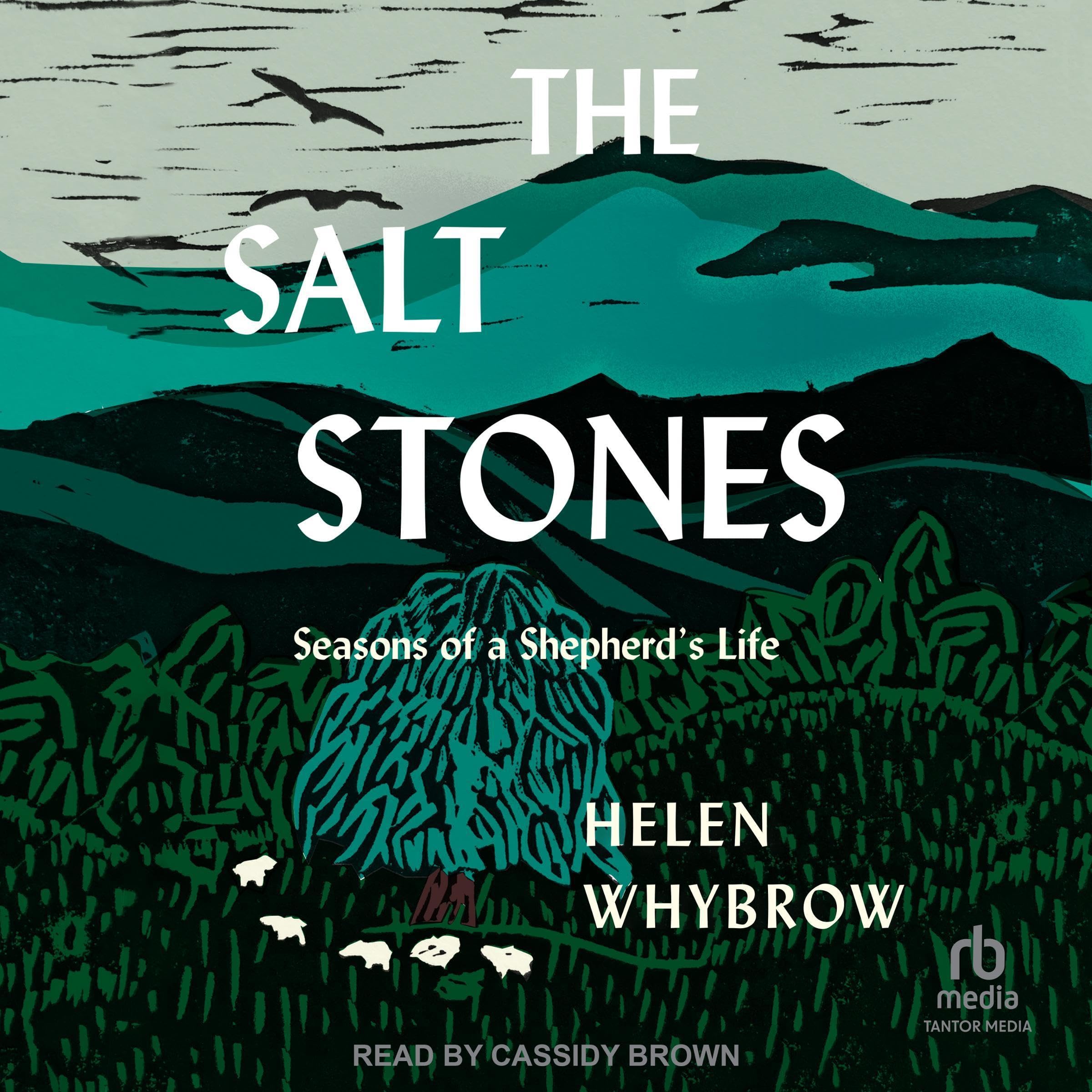 Cover art for The Salt Stones