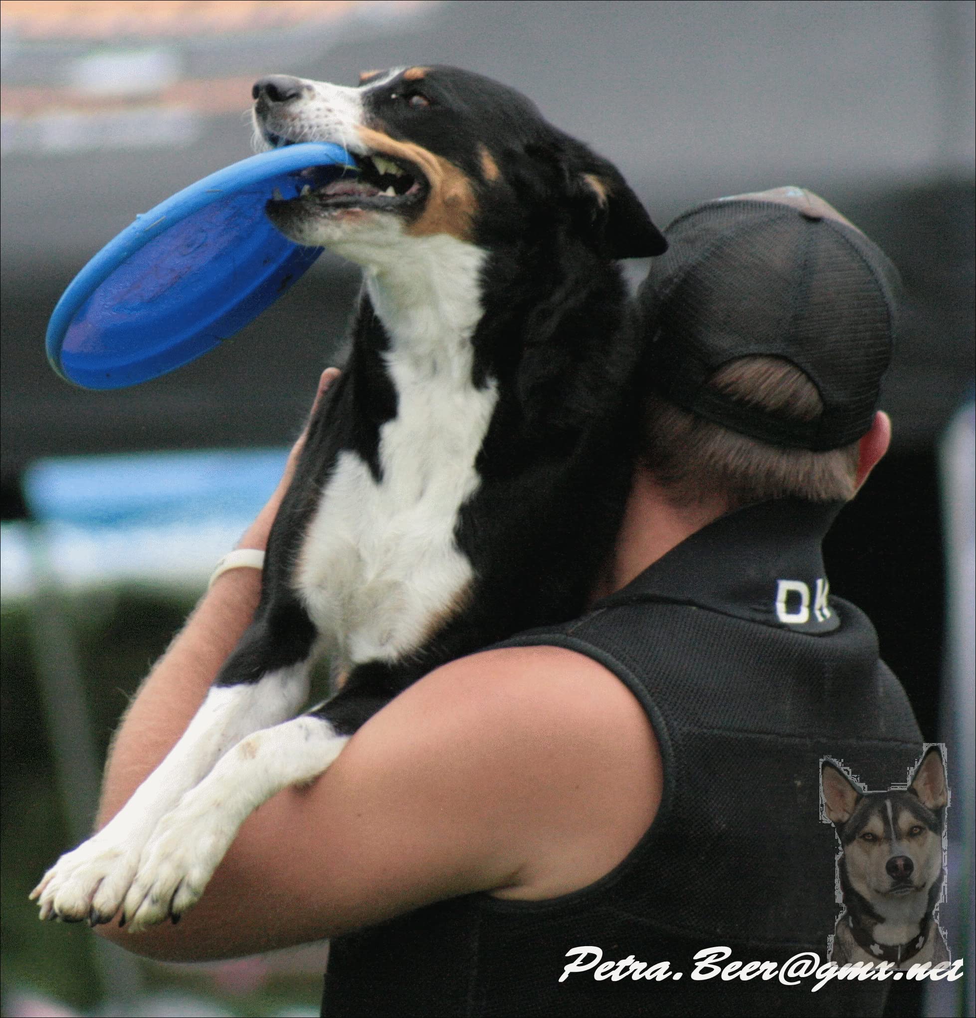 Hyperflite Pies Frisbee niezniszczalny K10 Jawz odporny na gryzienie frisbee do Discdogging - żółty