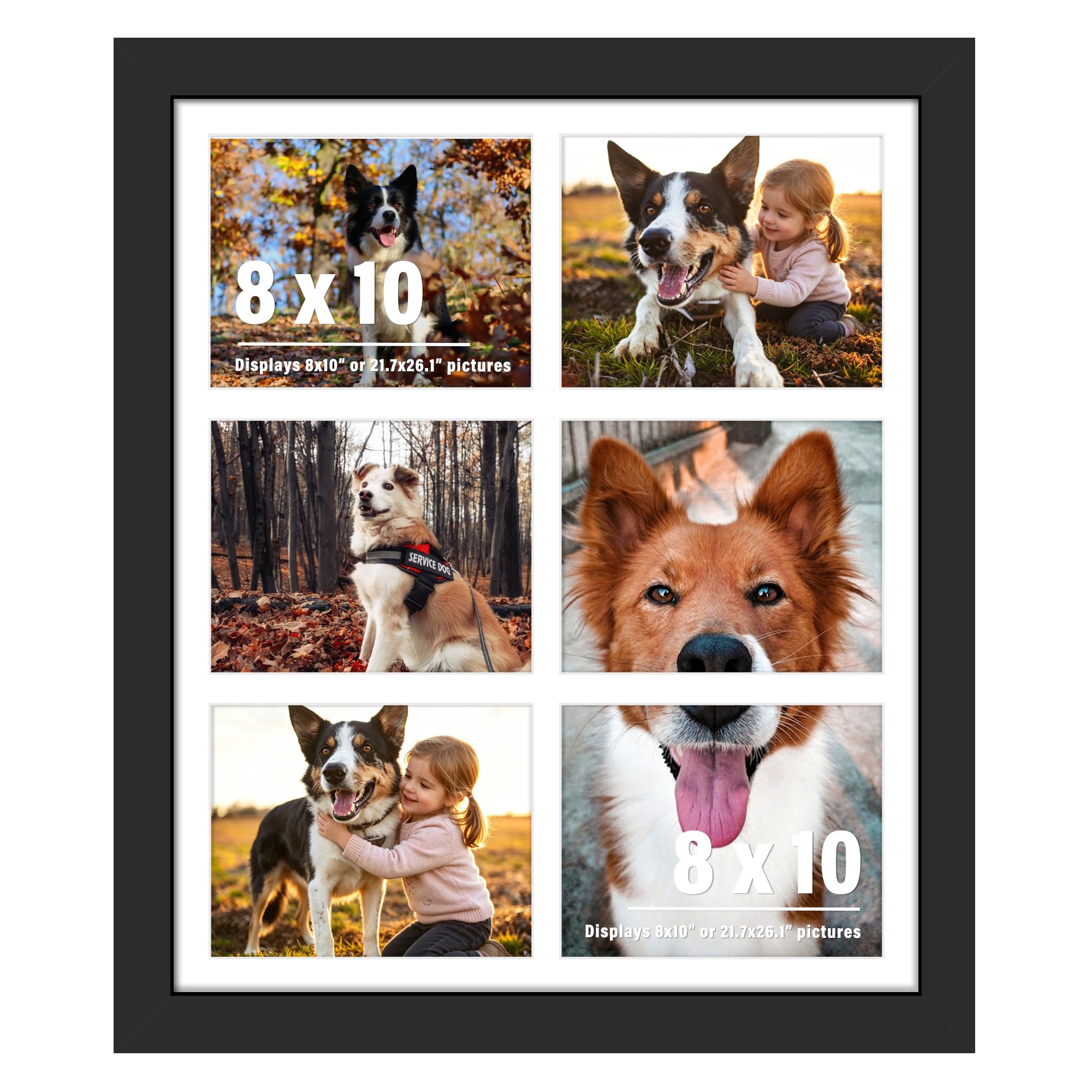 DUENPY 21.7x26.1 Picture Frame 6-Opening 8x10 Collage Picture Frame Displays Six 8x10 Photos Wall Decor Wall Hanging or Tabletop Black