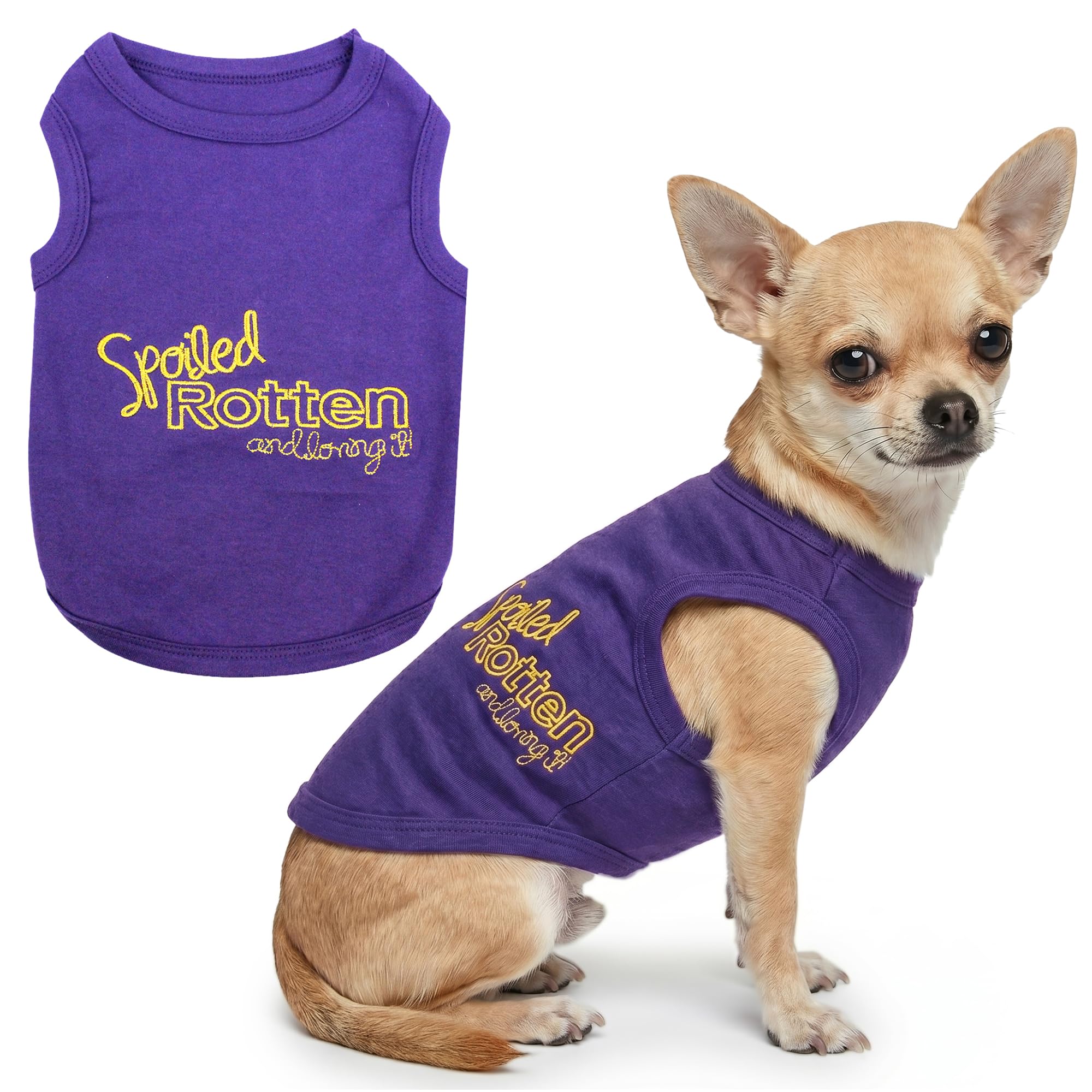 Tee-shirt Parisien petit chien habit coton chat Spoiled Rotten mignon
