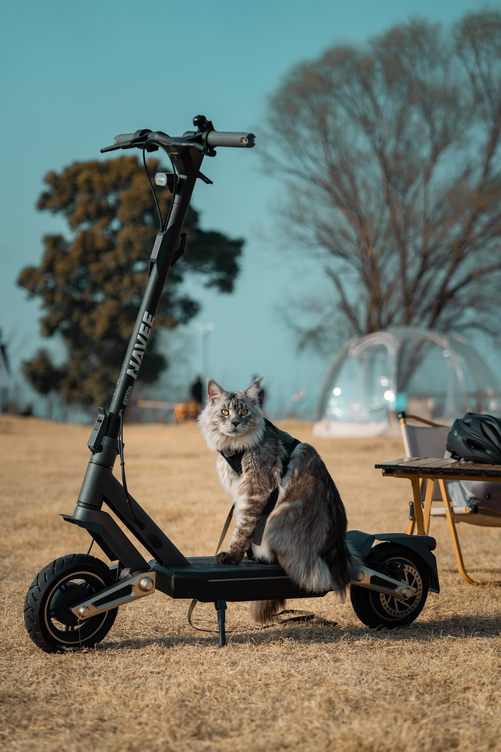 NAVEE ST3 et ST5 Trottinette Electrique Adulte 60-90km Autonomie 25km/h, Moteur 1000-1650W, Suspension Avant et Arrière, Pneus 10″ sans Chambre, Antivol Connectivité Bluetooth, TCS, avec APP