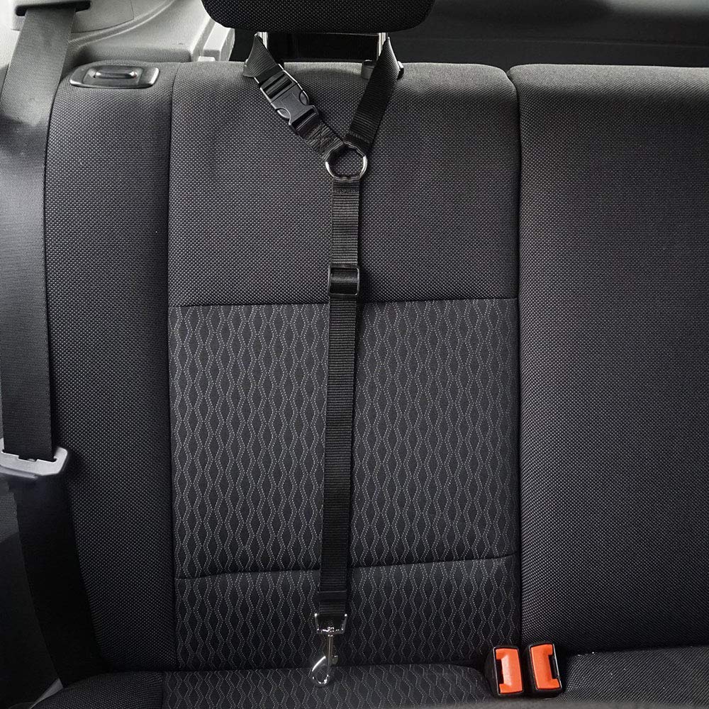 Seil Haustier Pet Products Universal Praktische Katze Hunde Sicherheit Einstellbar Auto Sicherheitsgurt Kabelbaum Leine Welpe Sicherheitsgurt Reise Clip Strap Leitungen Haustierleine Mit ( Size : Blac