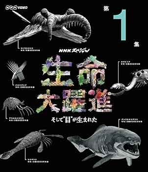 ＮＨＫスペシャル 生命大躍進 DVD ＢＯＸ 717L7HvtX8L.jpg