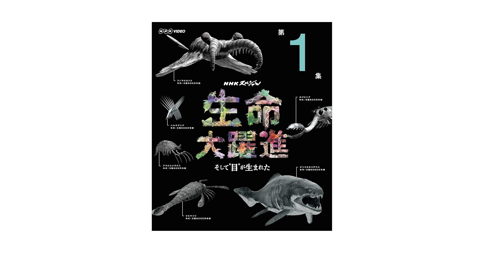 Amazon.co.jp: NHKスペシャル 生命大躍進 第1集 [Blu-ray] : DVD