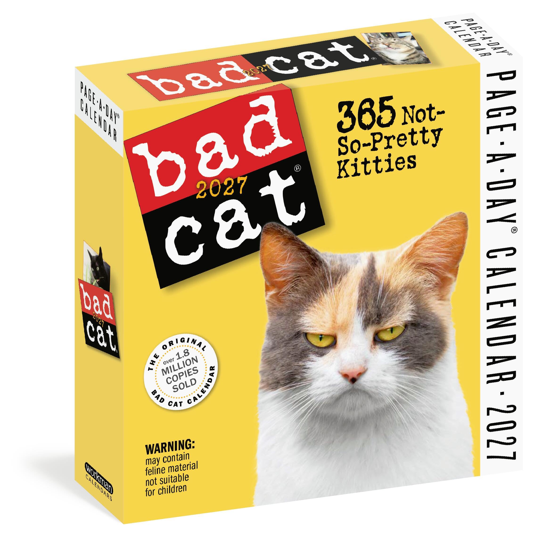 Bad Cat Page-A-Day® Calendar 2027: 365 Not-So-Pretty Kitties