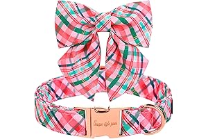 Unique Pink & Green Plaid Dog Collar For Stylish Doggies