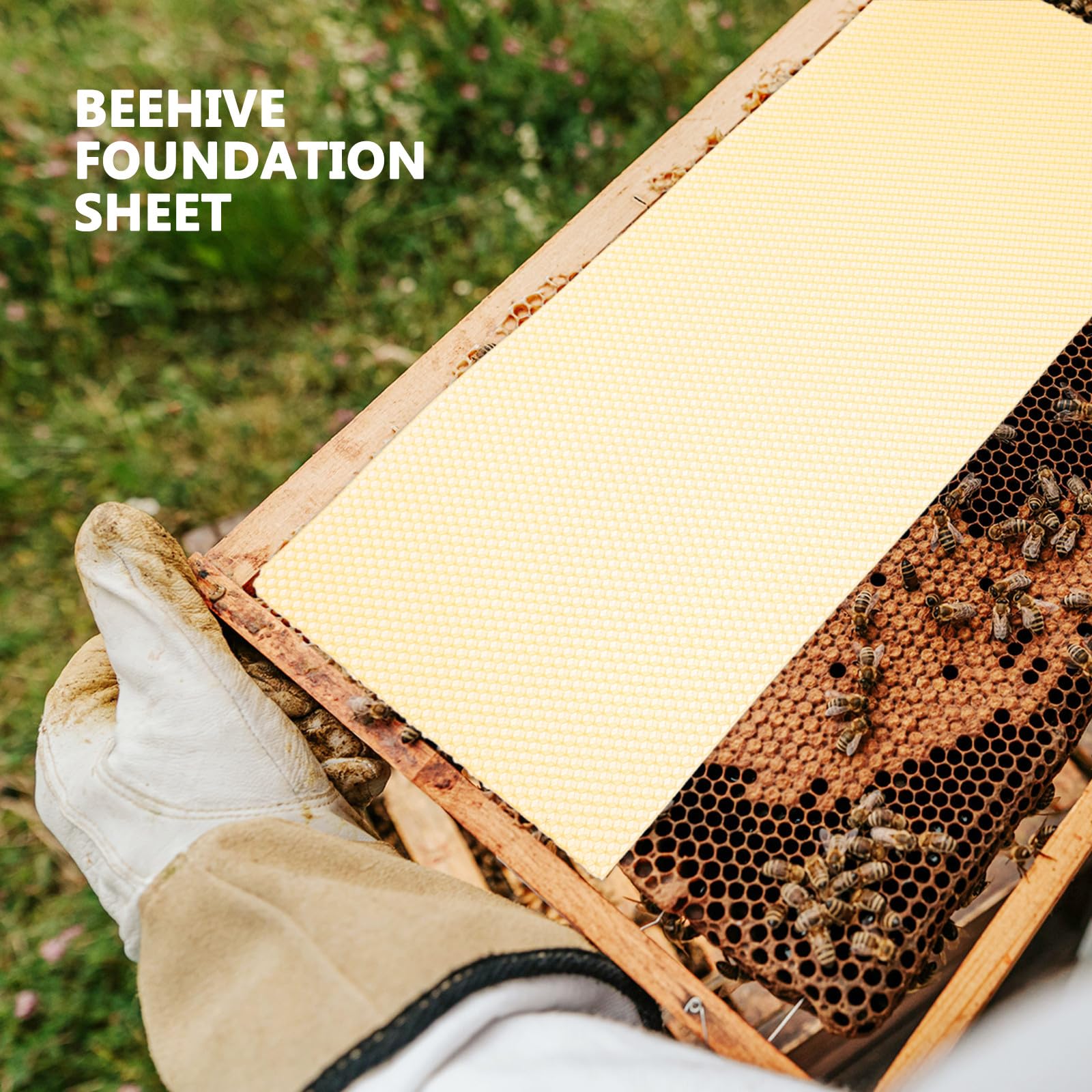 SHINEOFI Fondation Nid d'abeille en Cire Gaufrée 10 Feuilles pour Ruche Dadant, Outil Apicole Naturel pour Apiculteurs Amateurs et Professionnels